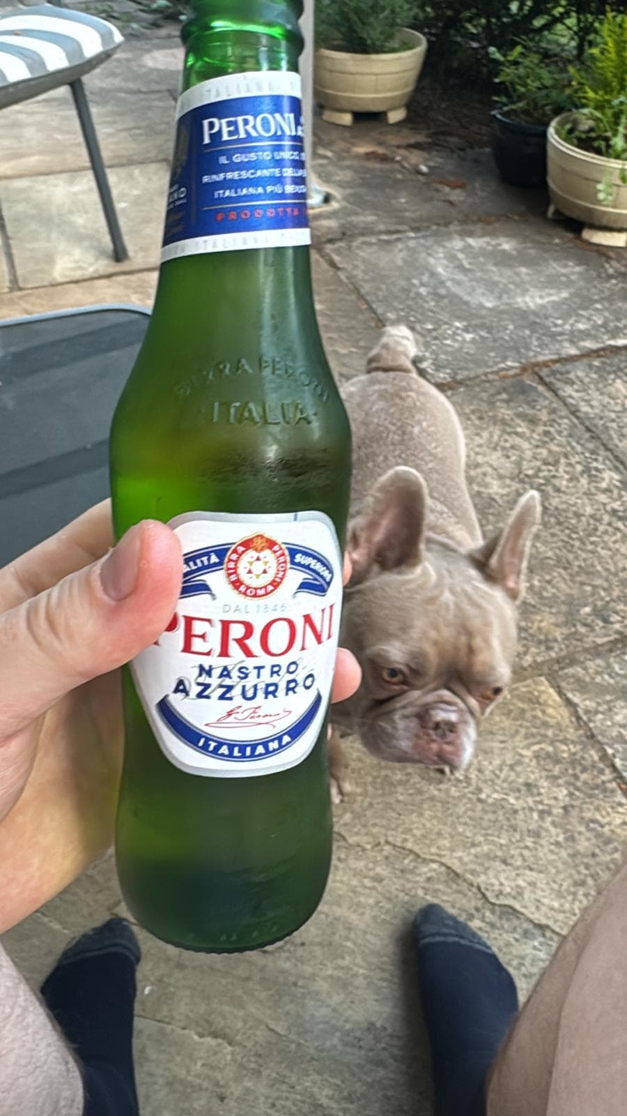 Beer #12275