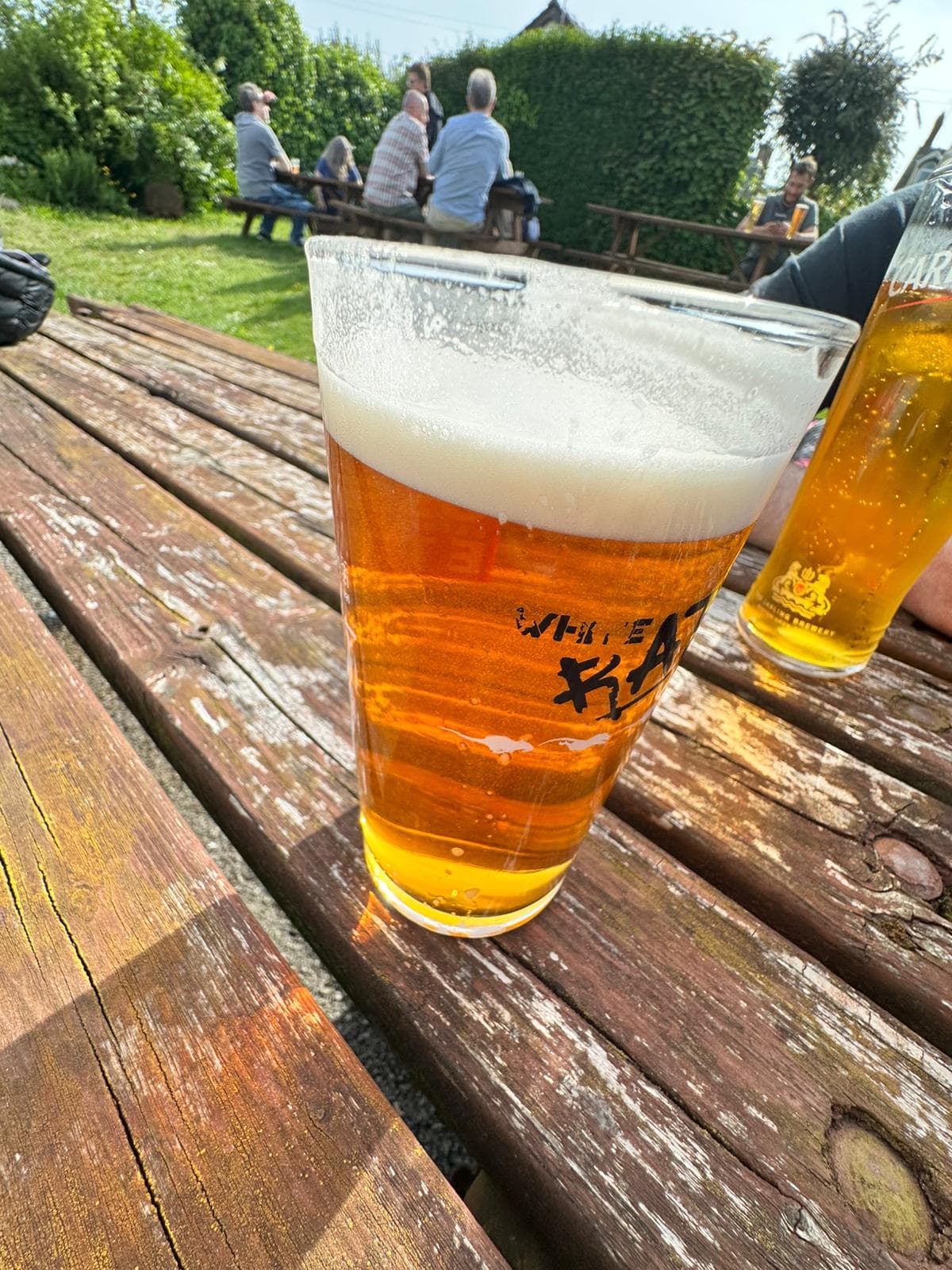 Beer #12398