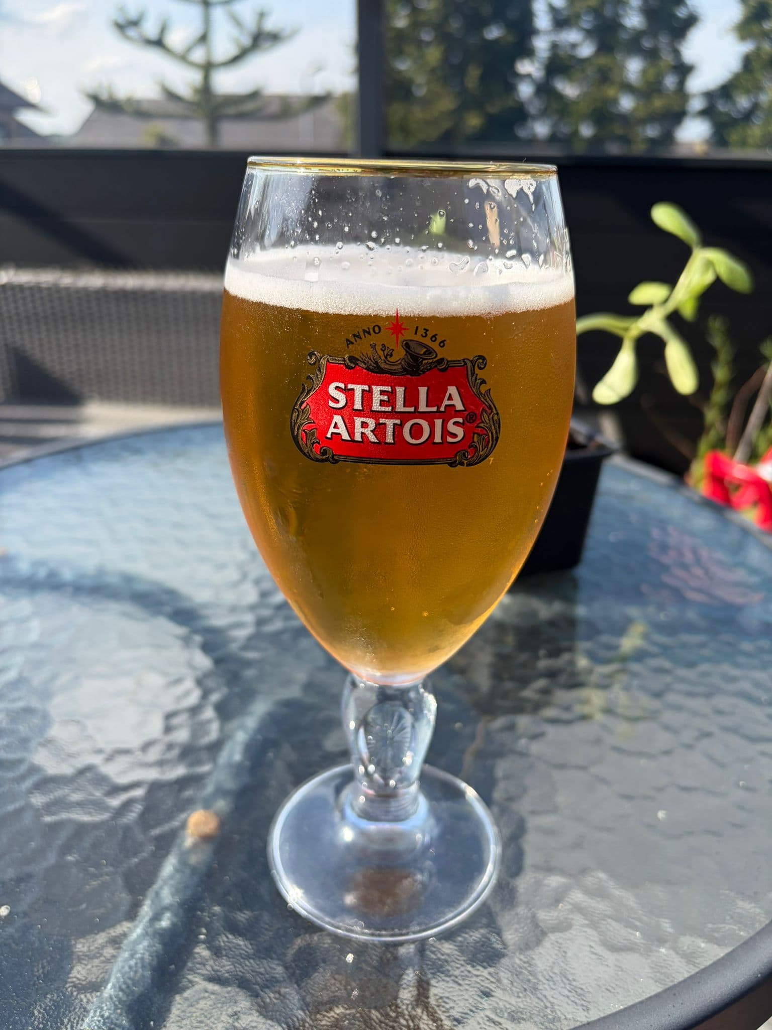 Beer #12402
