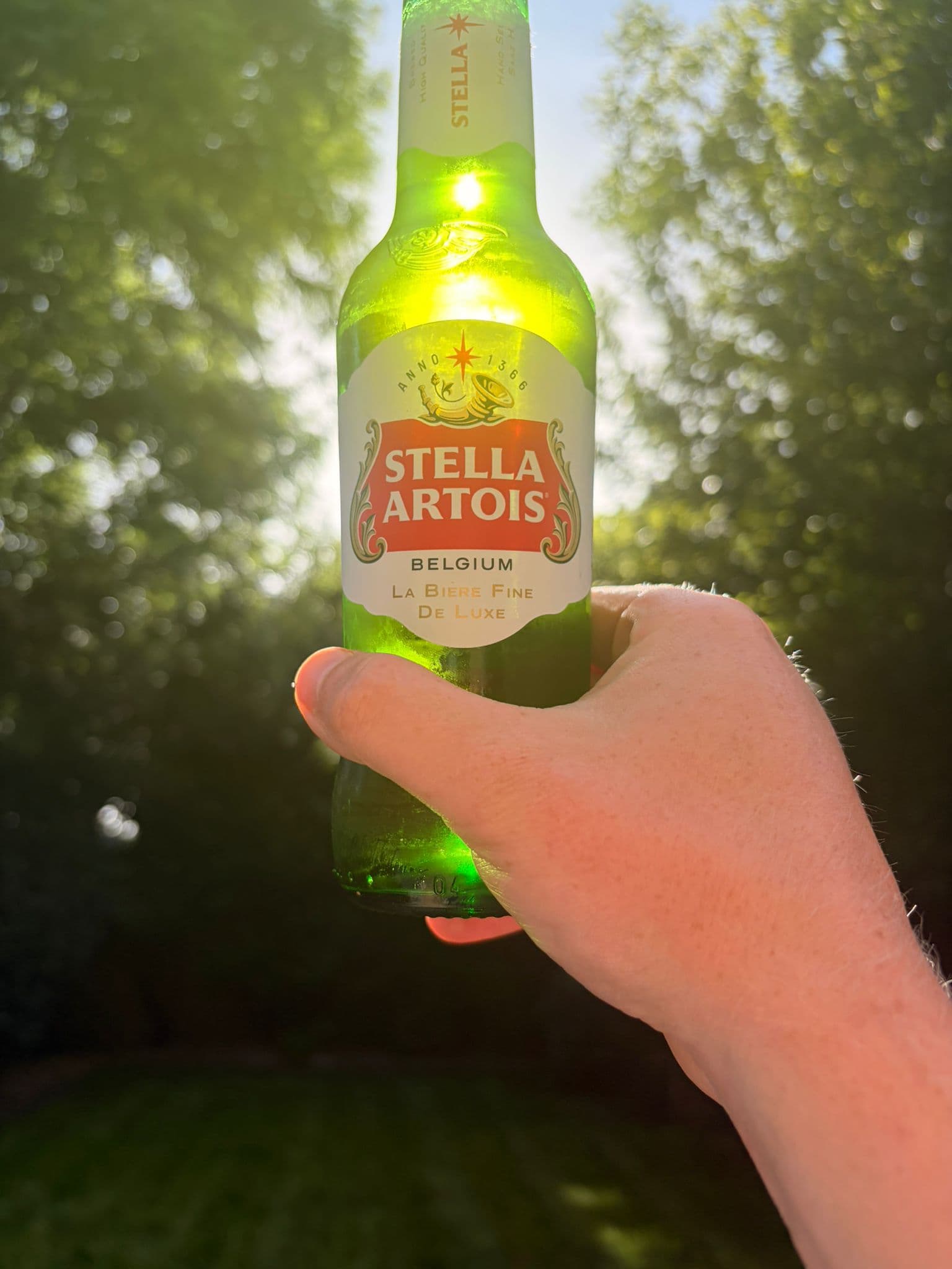 Beer #12436