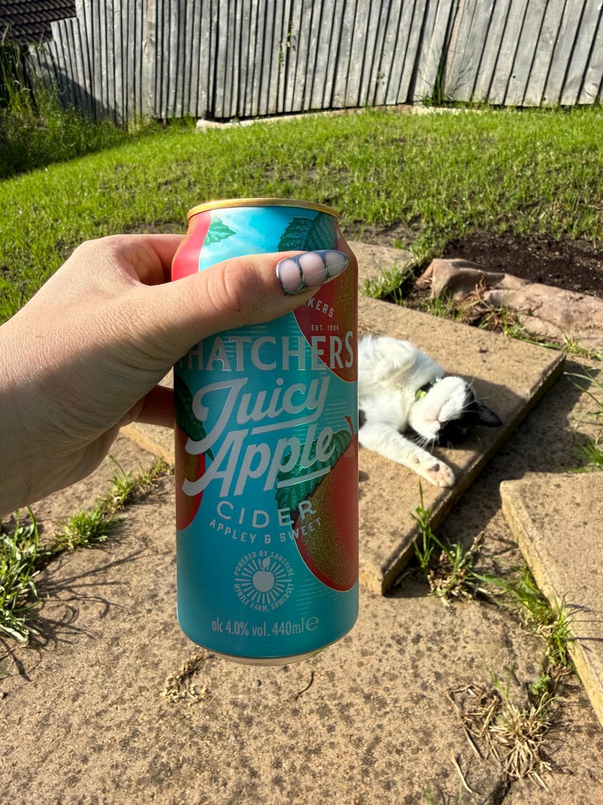 Beer #12445