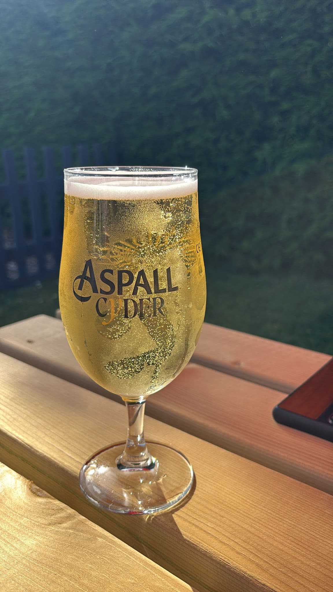 Beer #12446