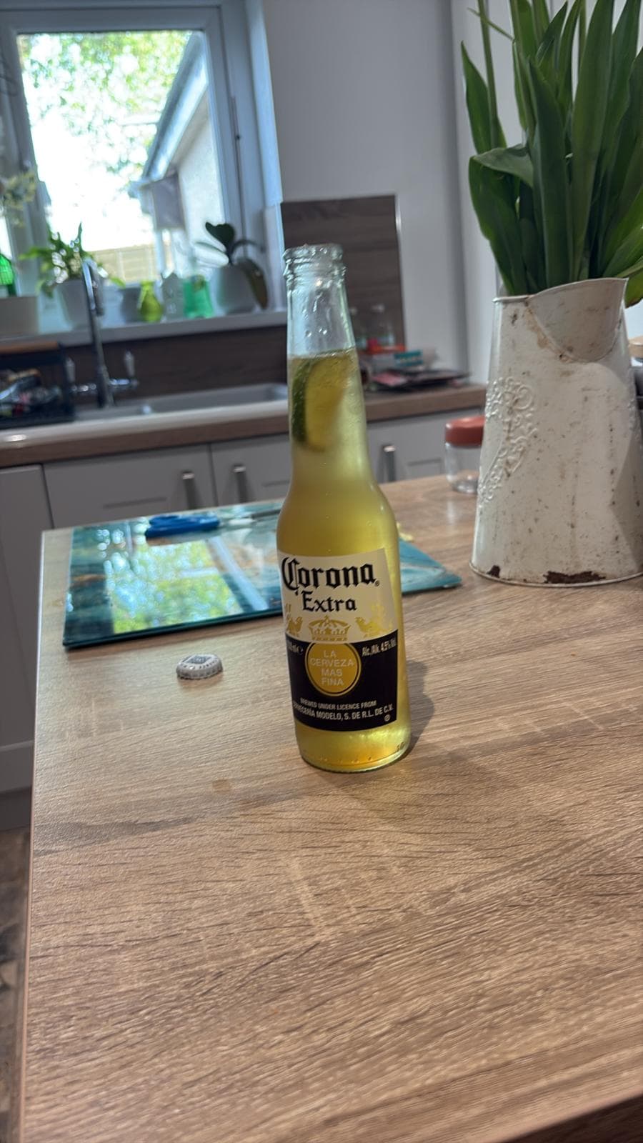Beer #12509