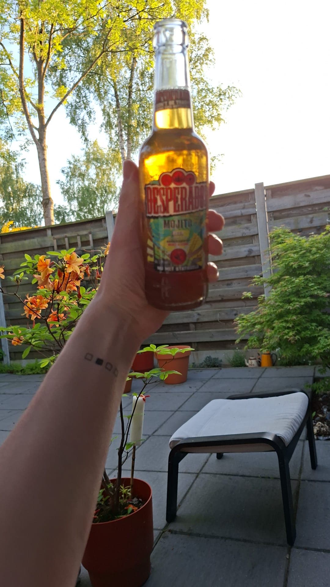 Beer #12517