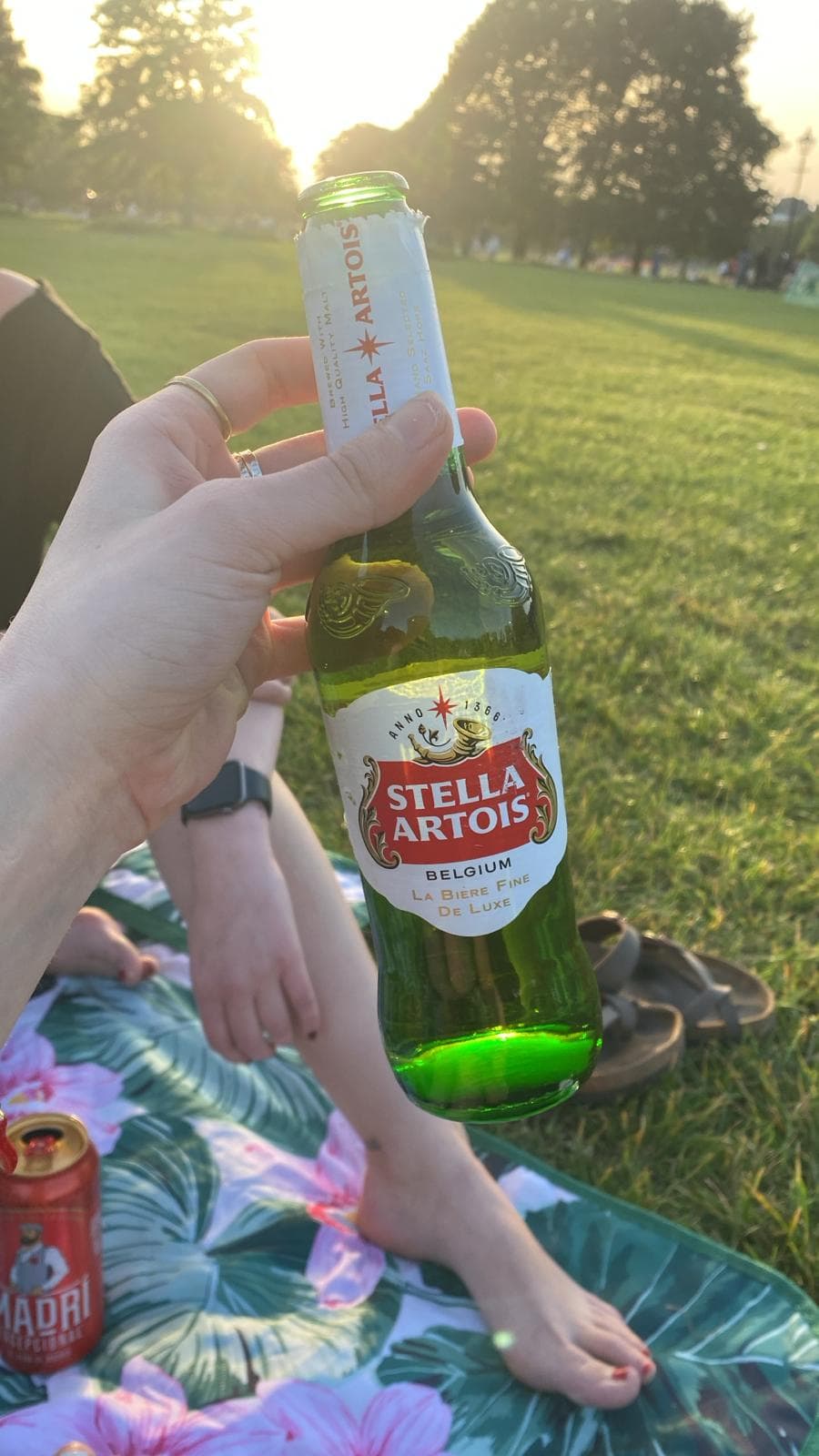 Beer #12551