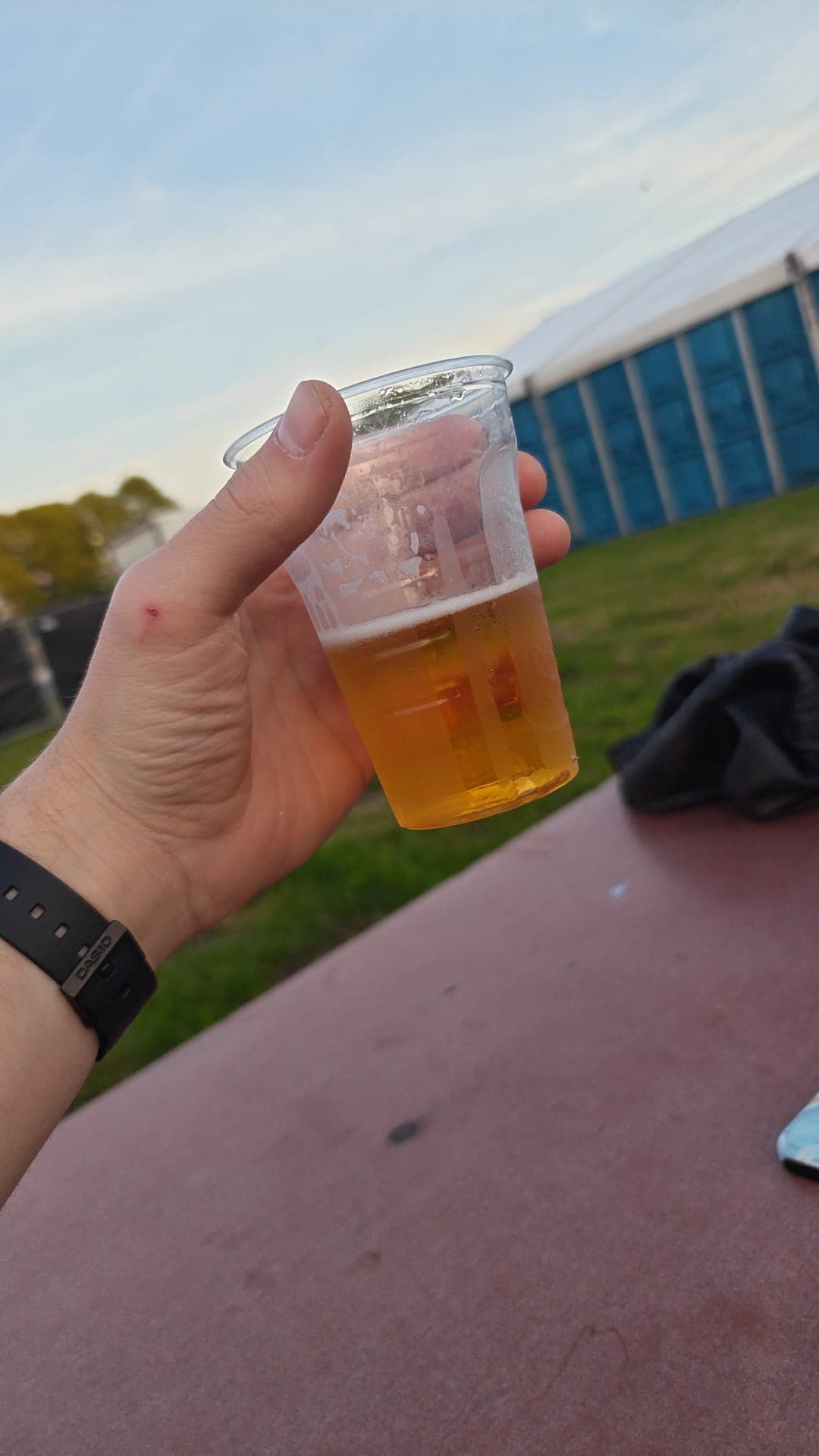 Beer #12554