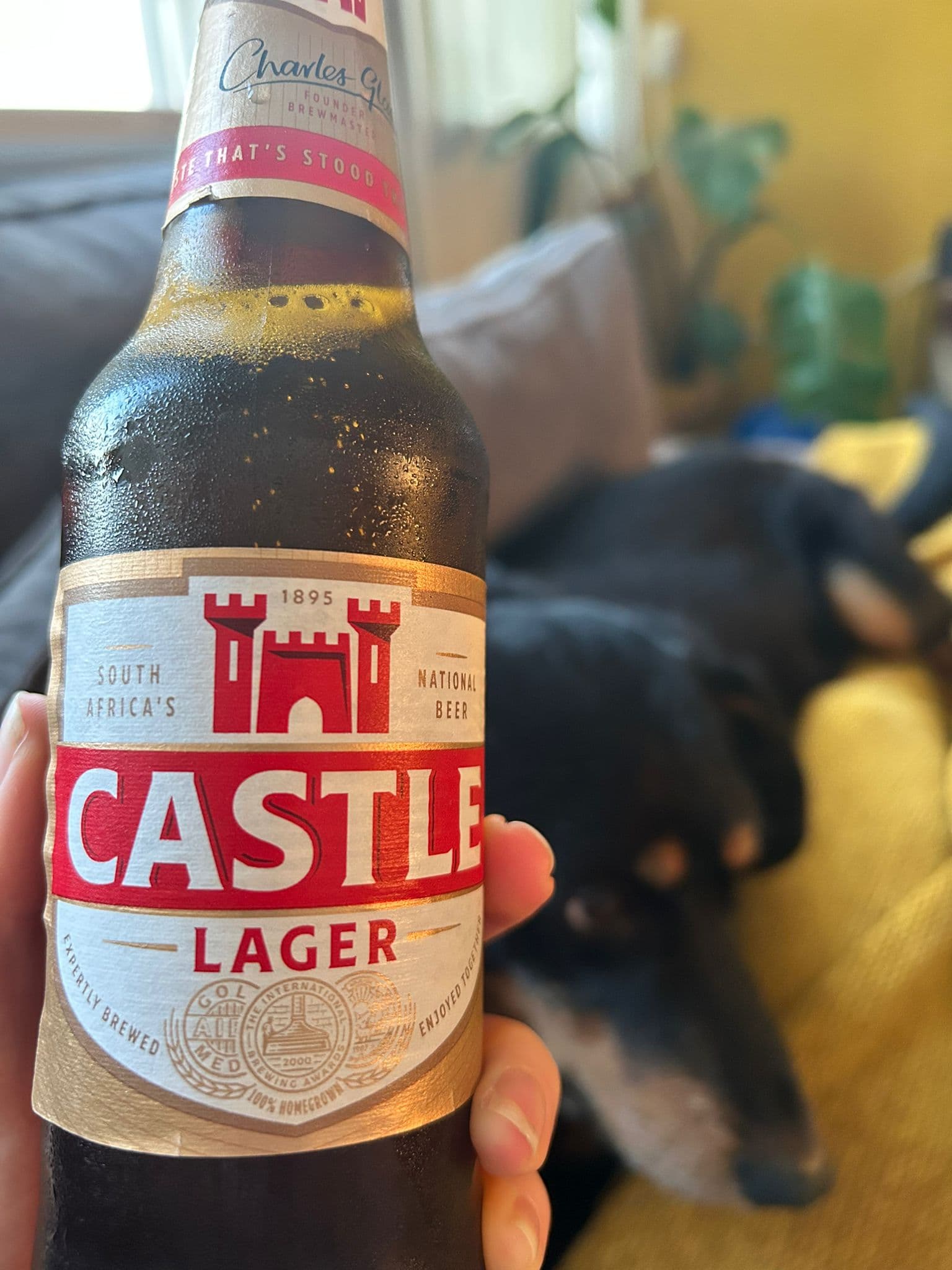 Beer #12560