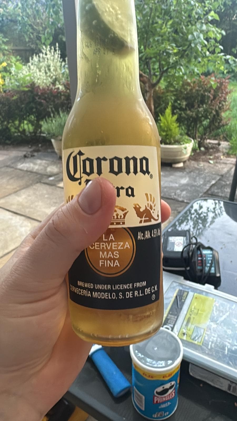 Beer #12573