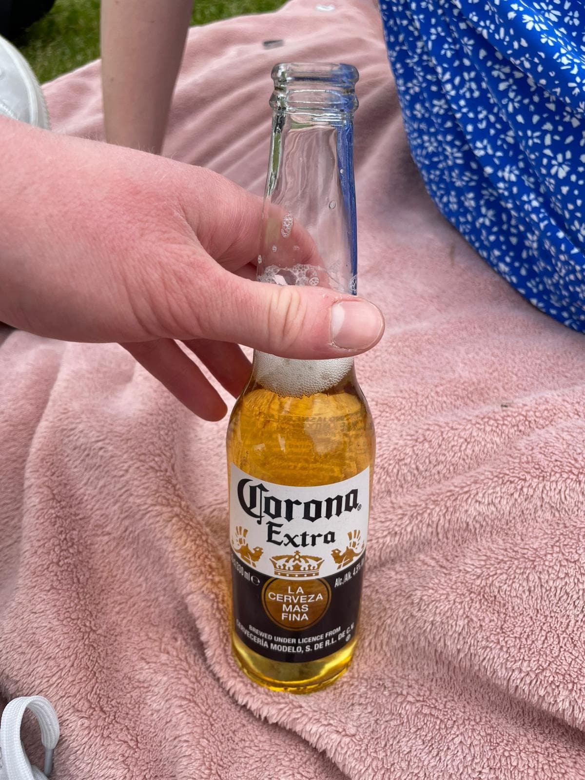 Beer #12750