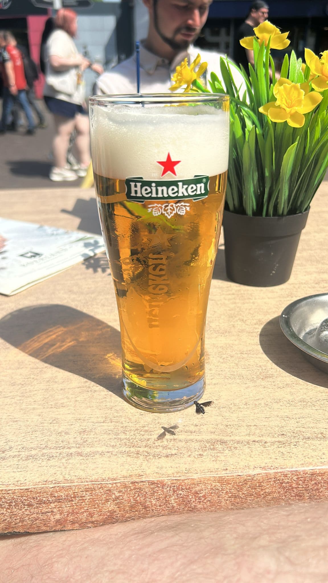Beer #12799