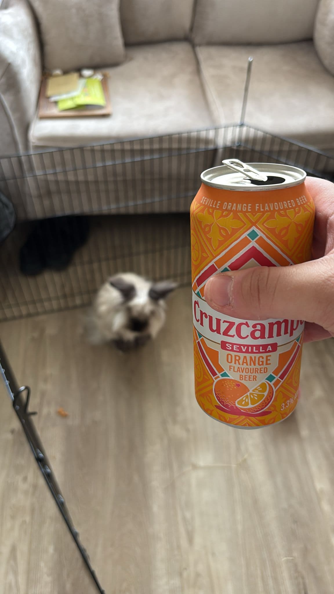 Beer #12864