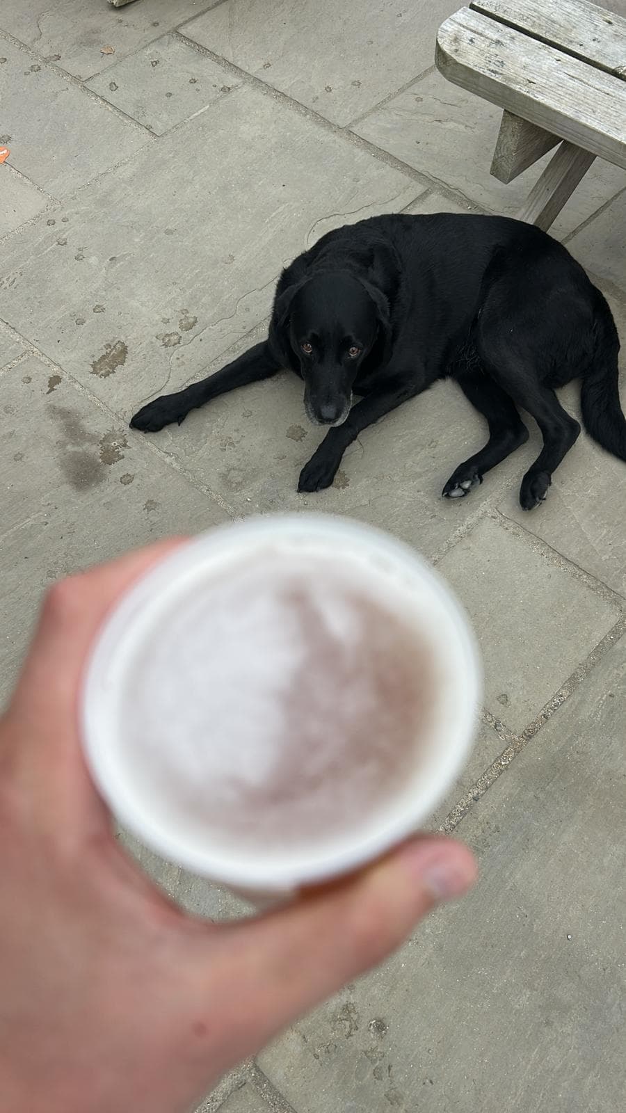 Beer #12981