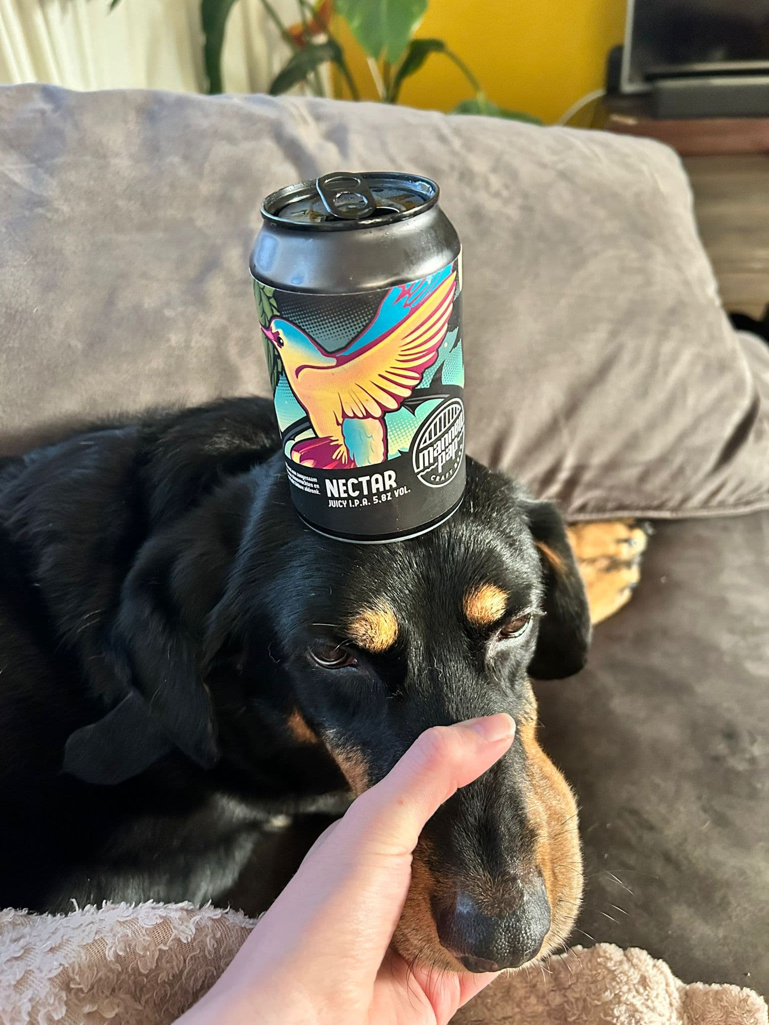 Beer #12983