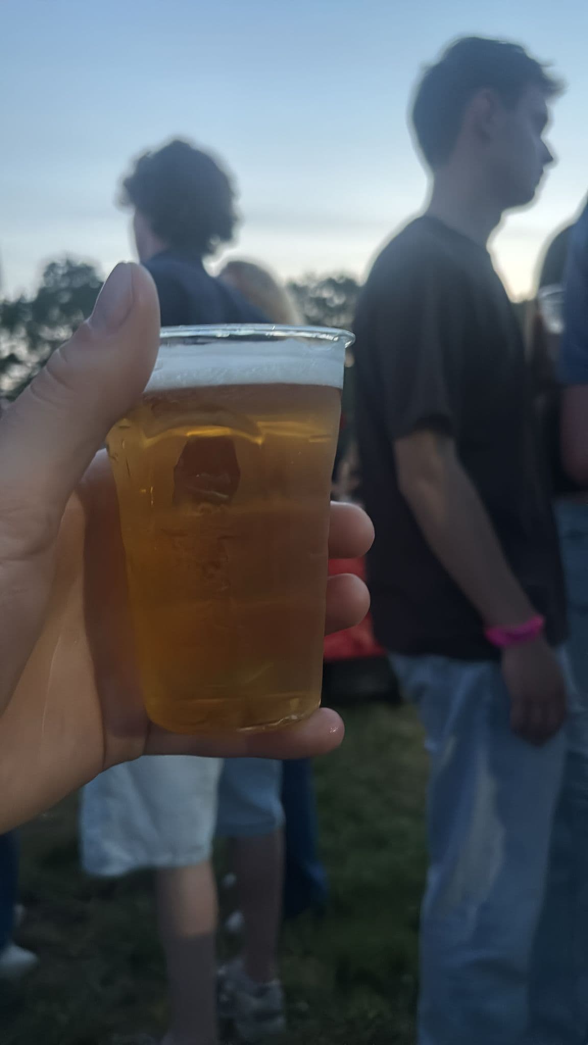 Beer #13070
