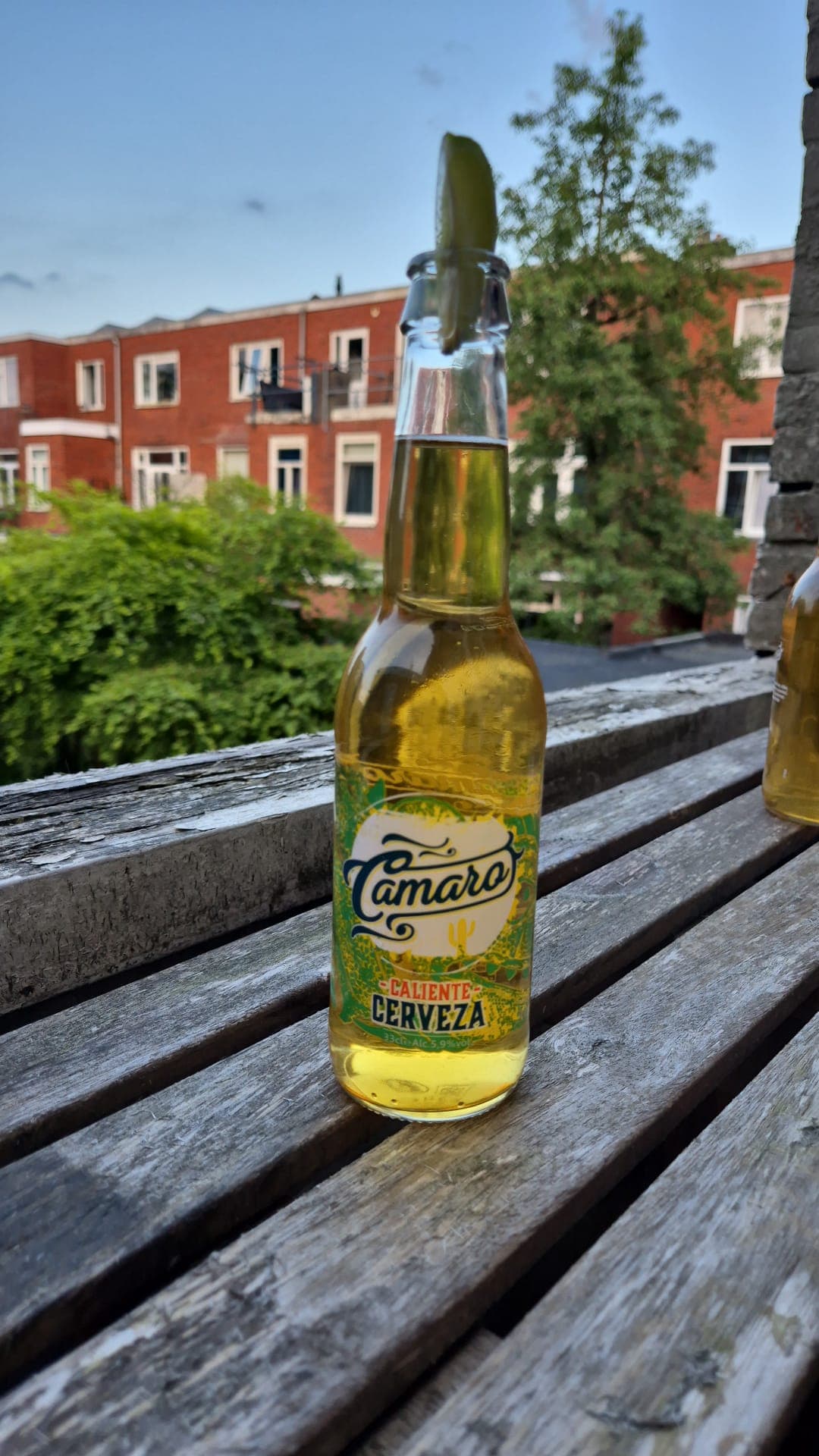 Beer #13008