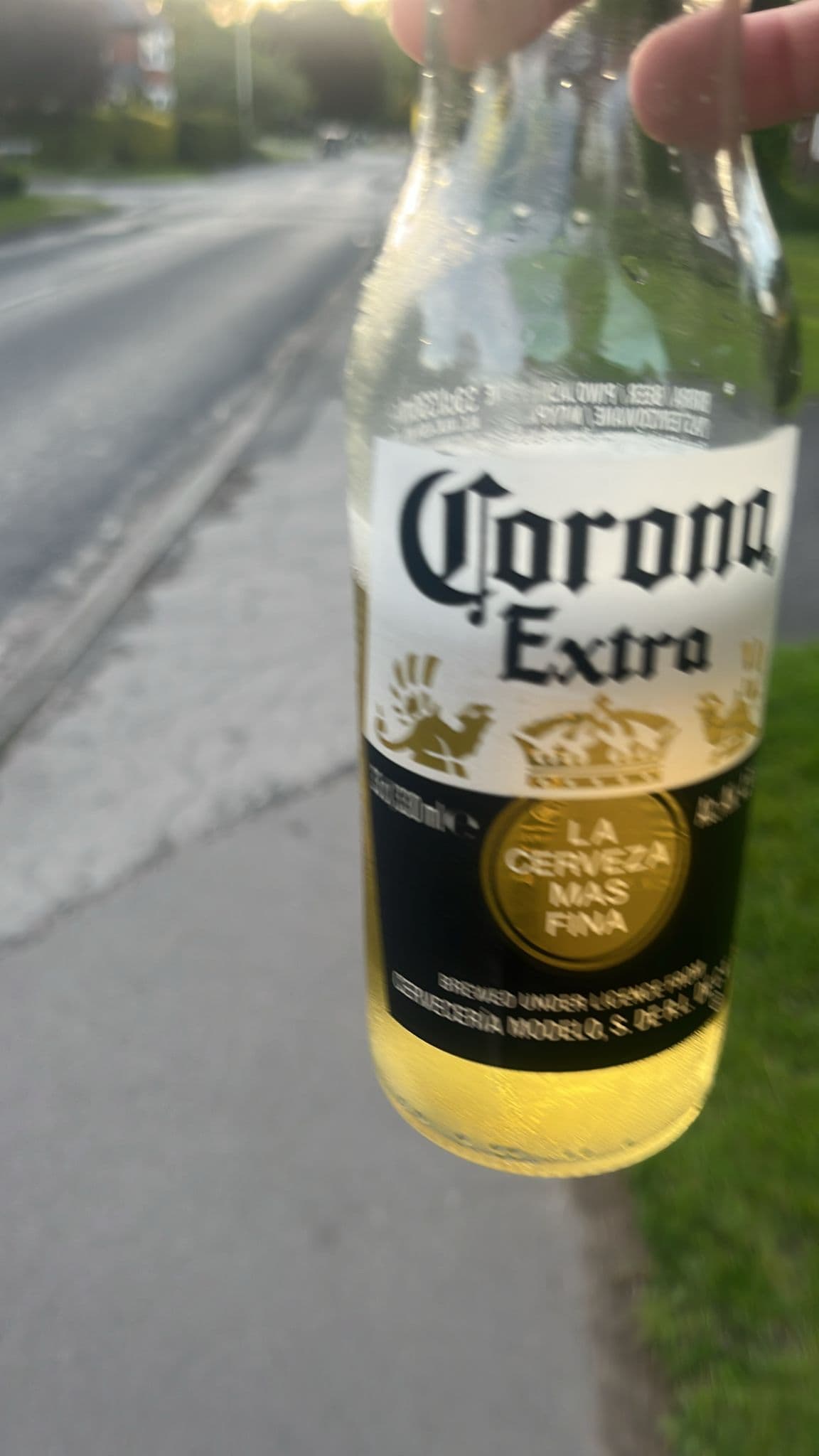 Beer #13051