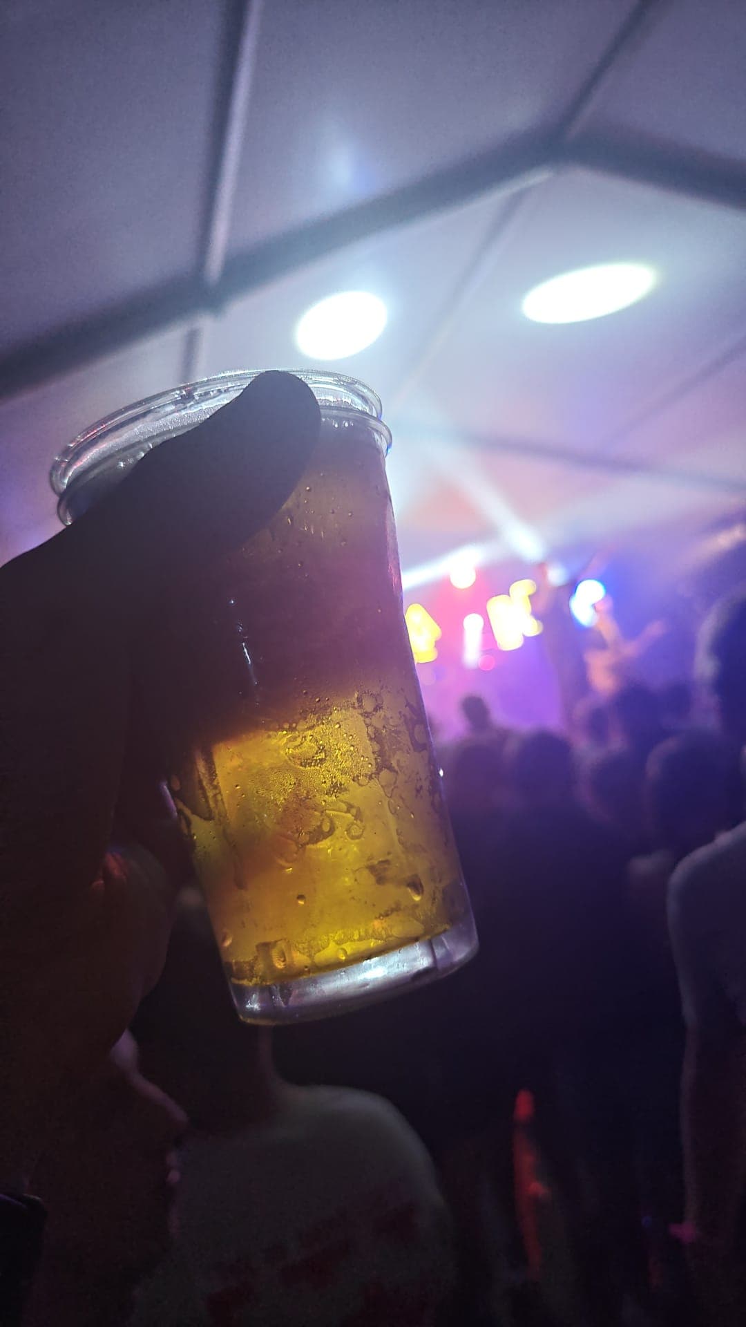 Beer #13120