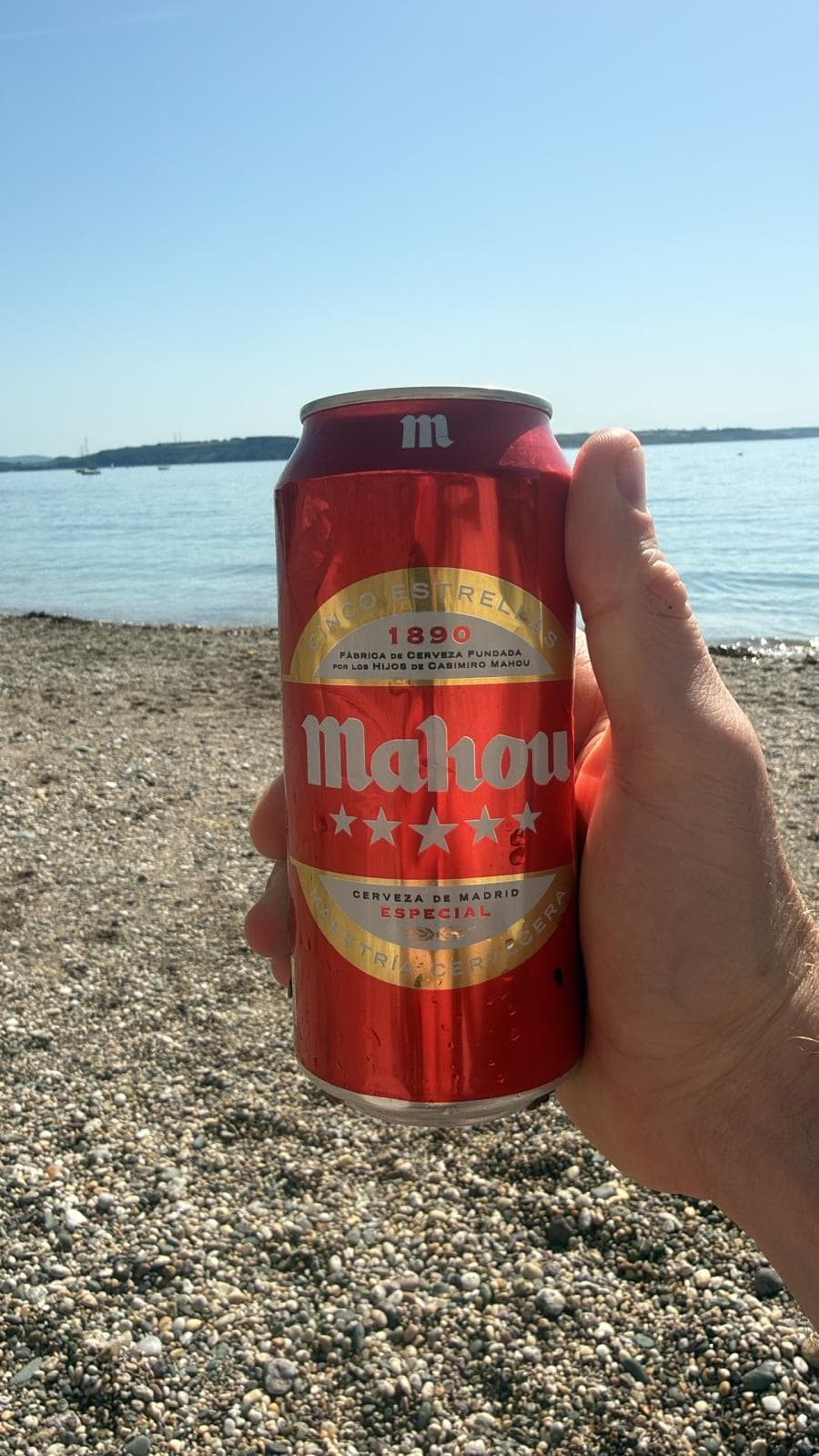 Beer #13179