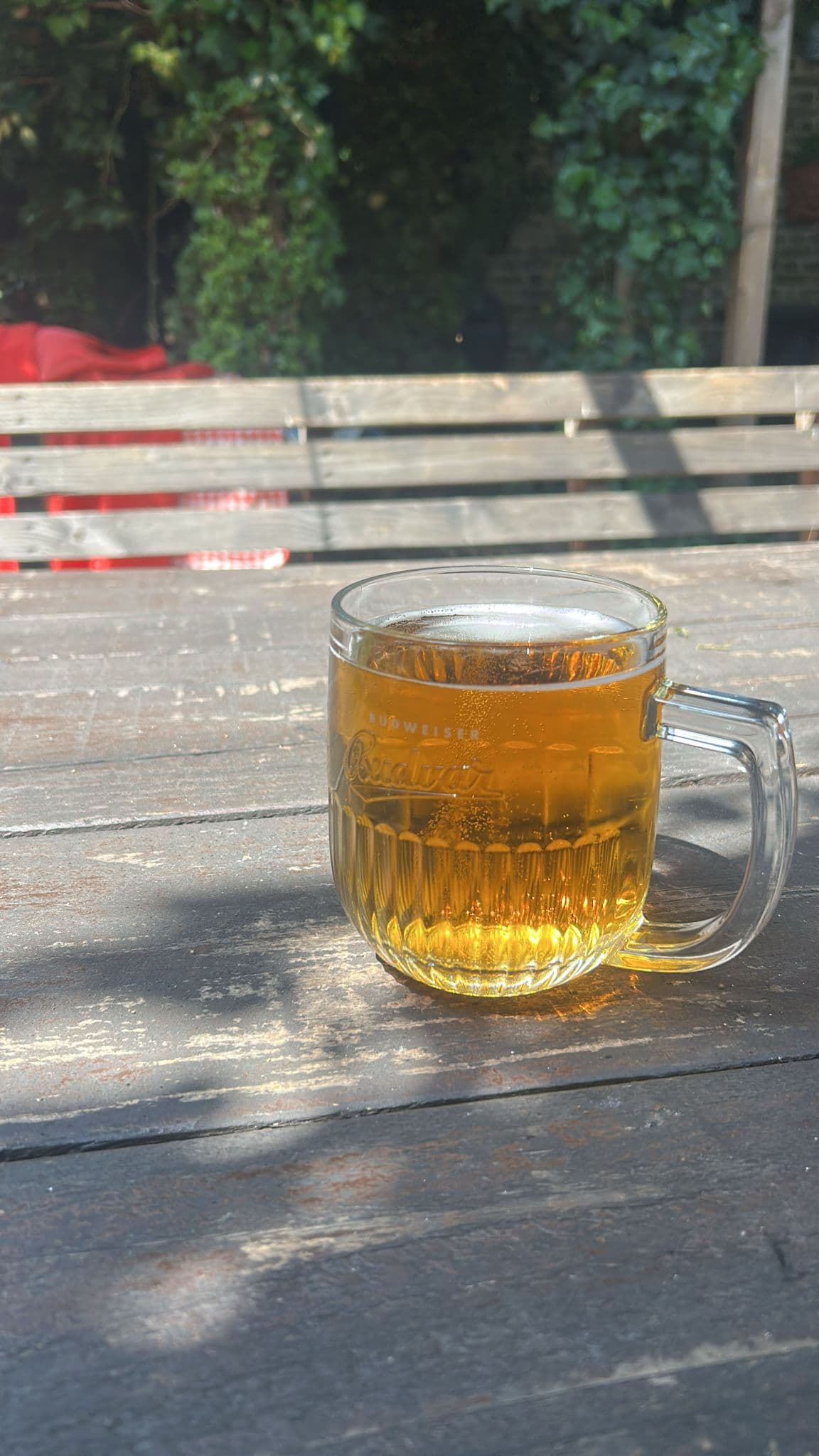 Beer #13217