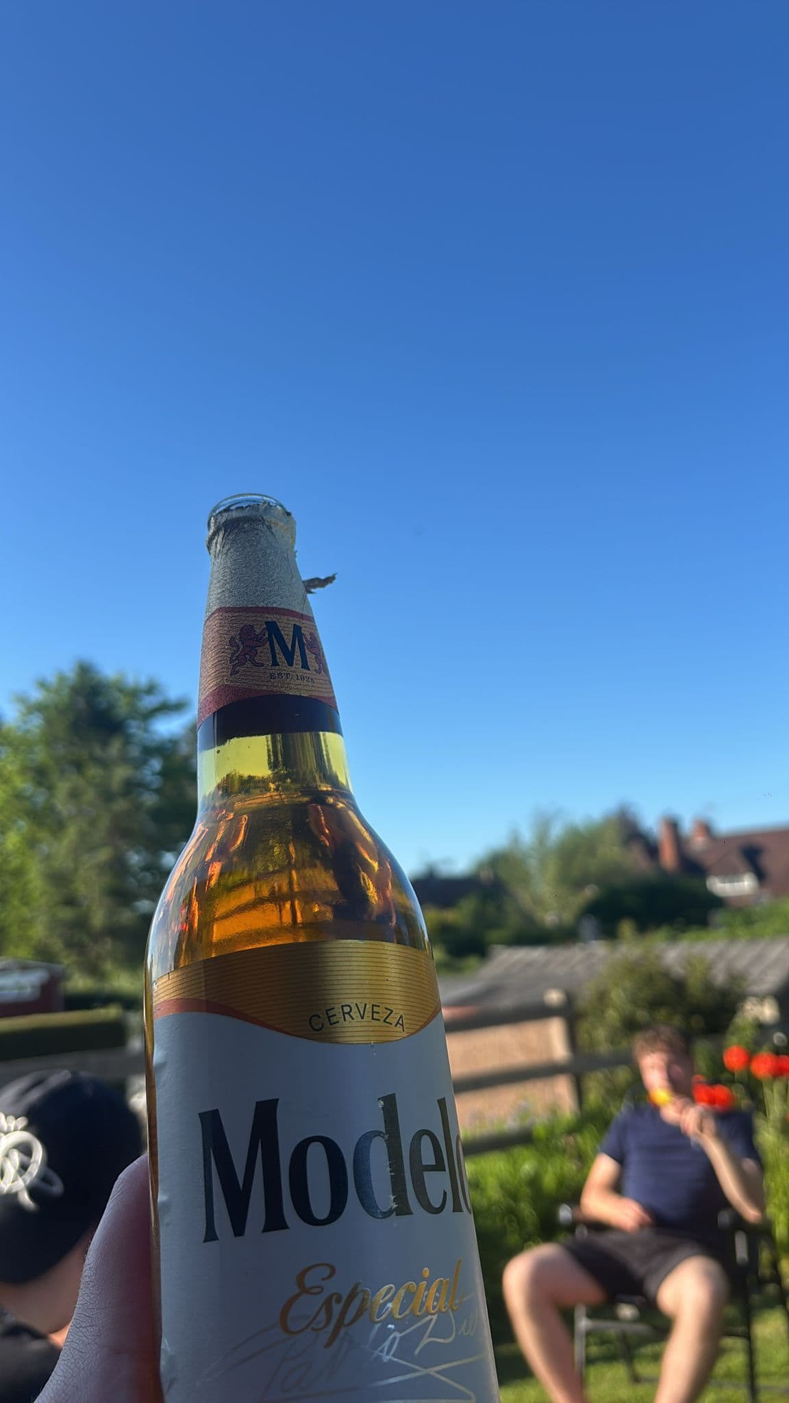 Beer #13404