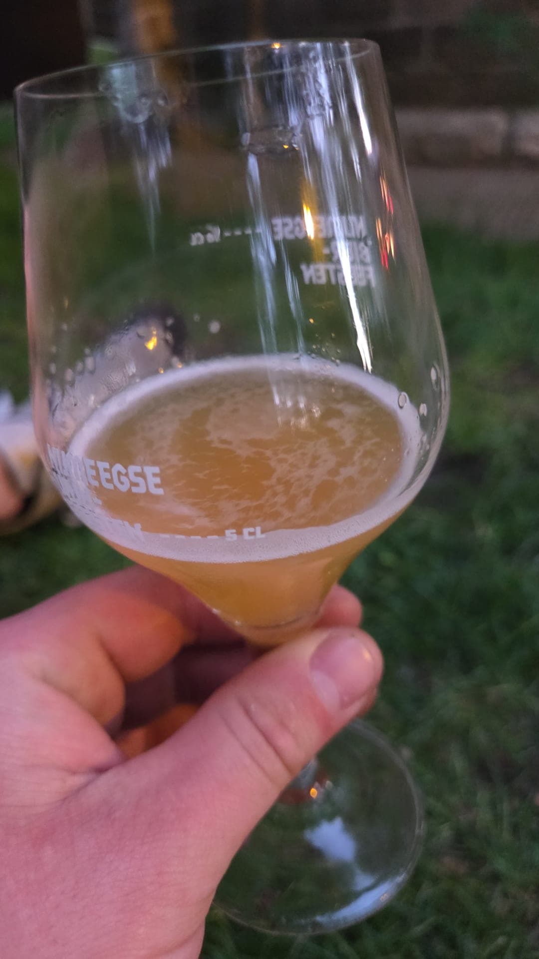 Beer #13554