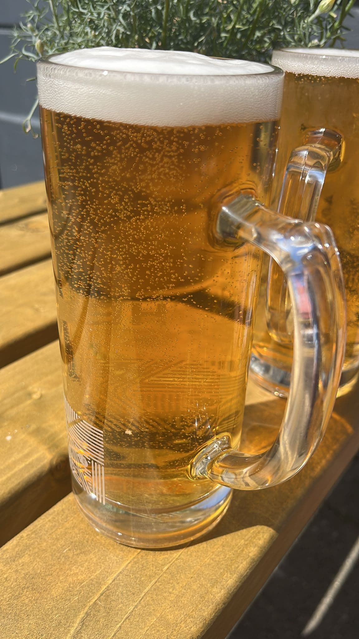 Beer #13661