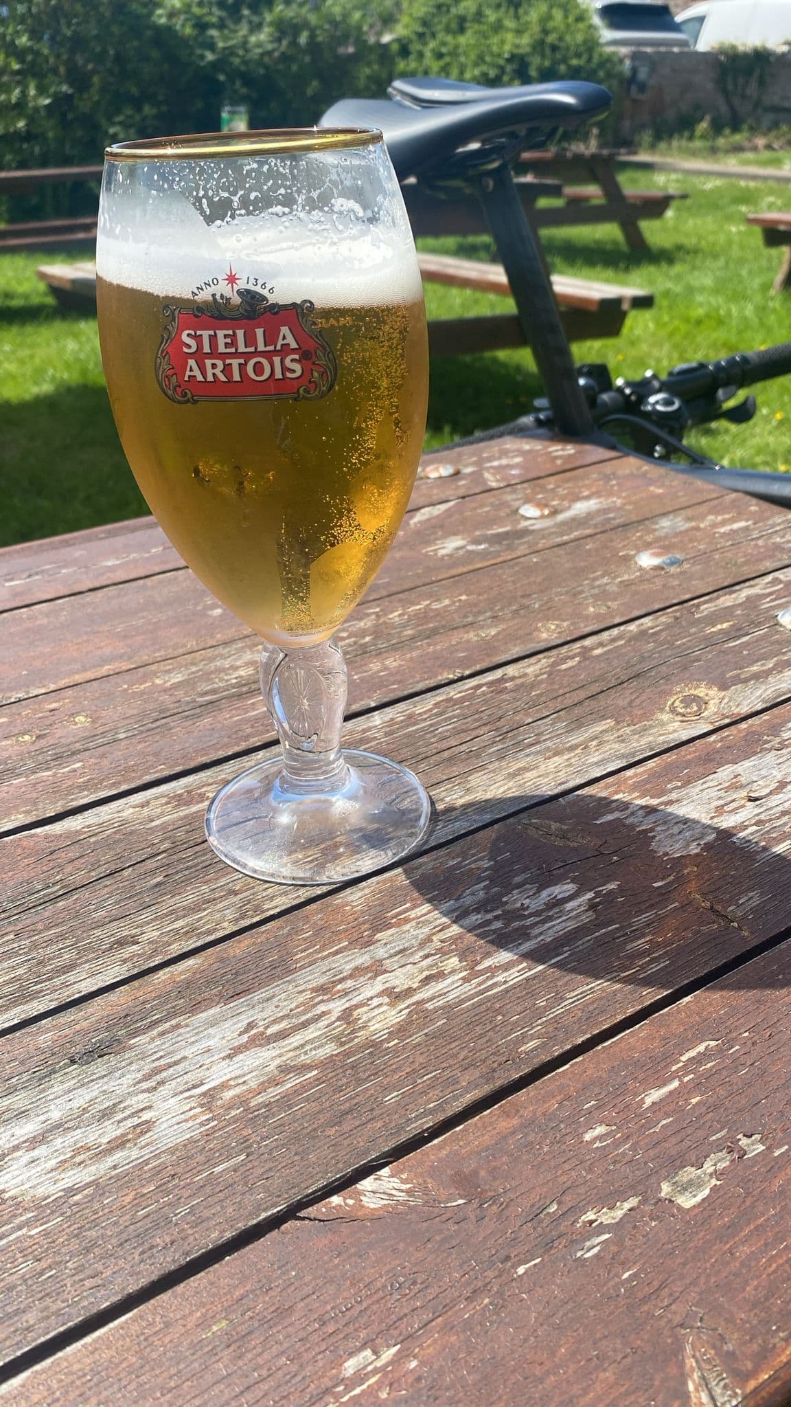 Beer #13667