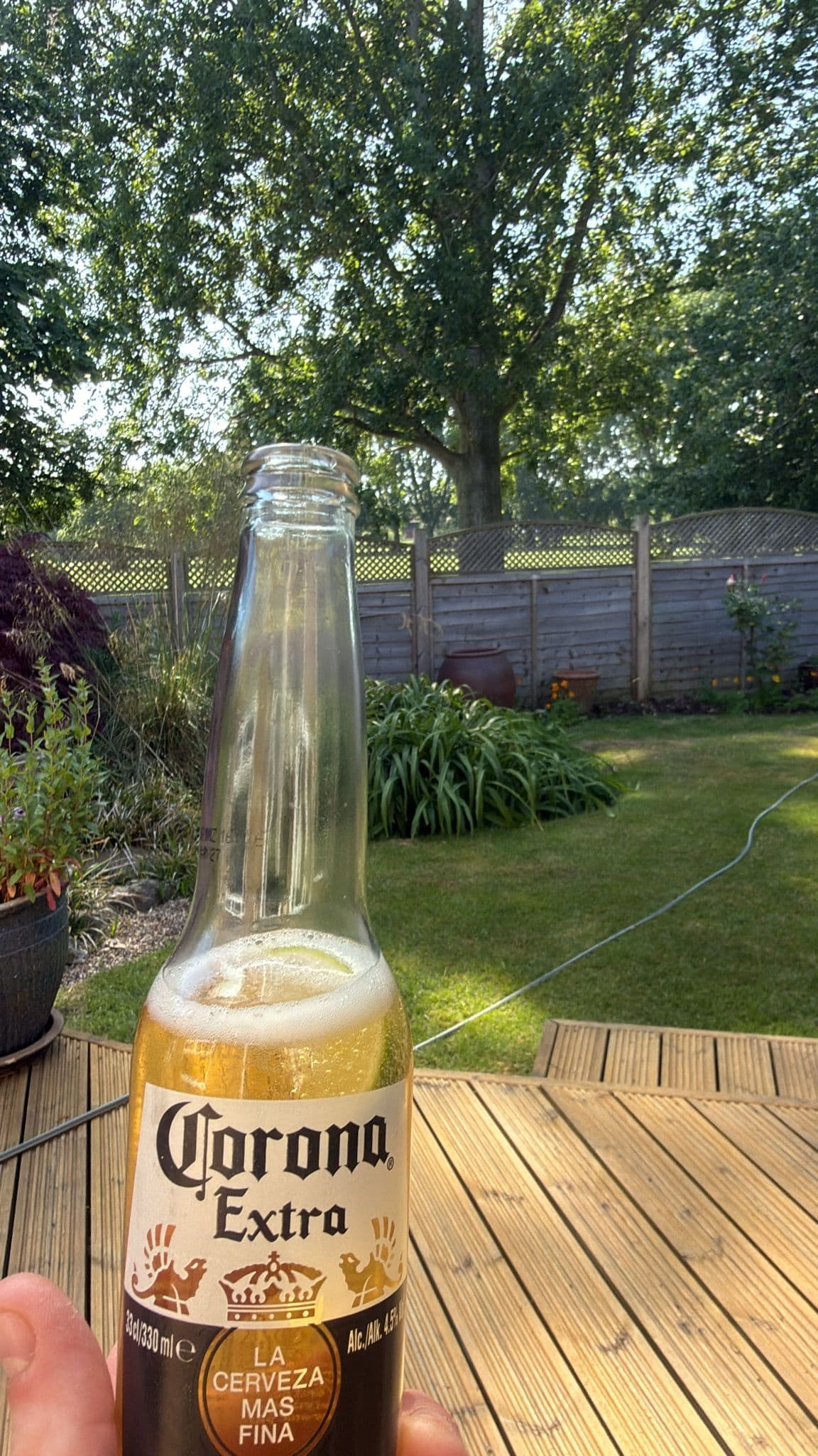 Beer #13683