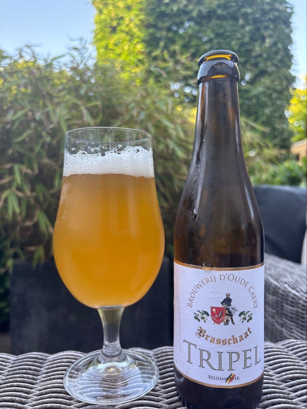 Beer #13771