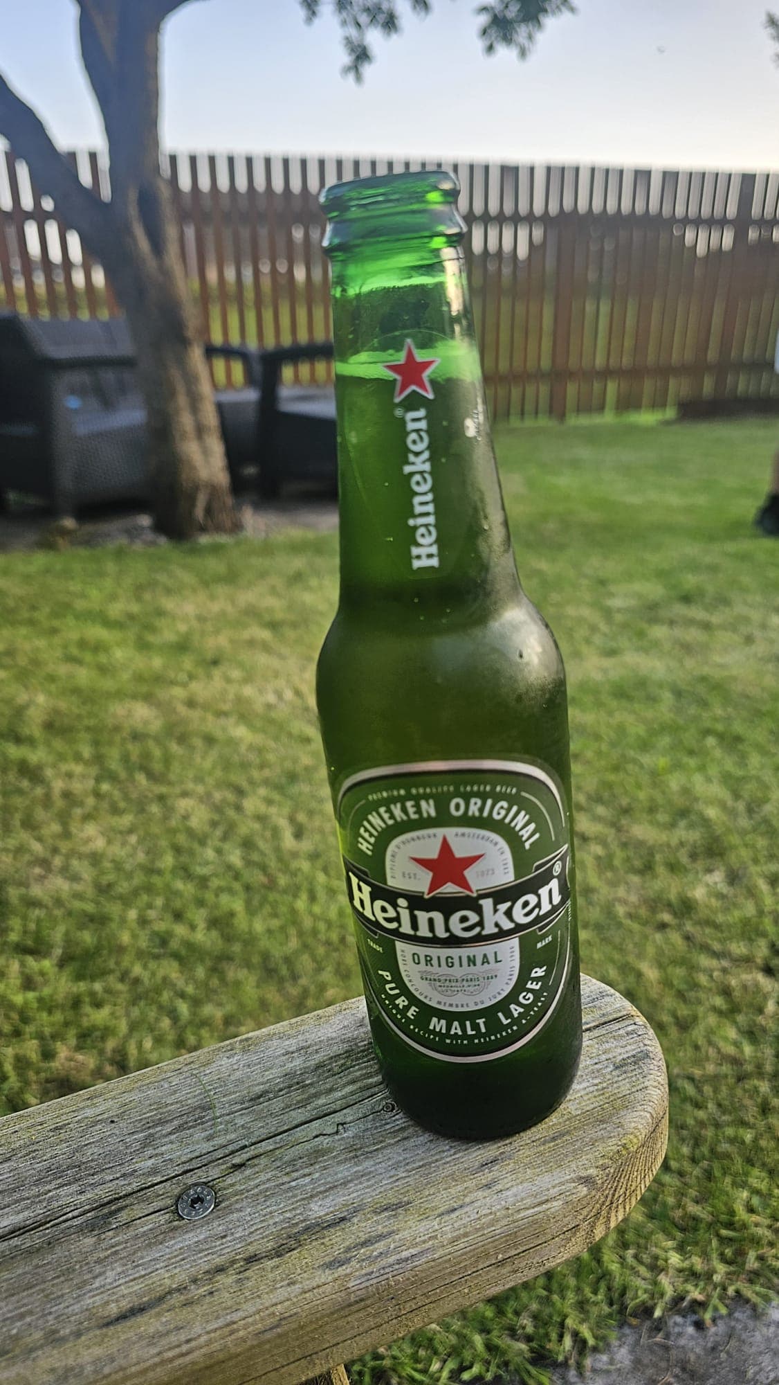 Beer #13822