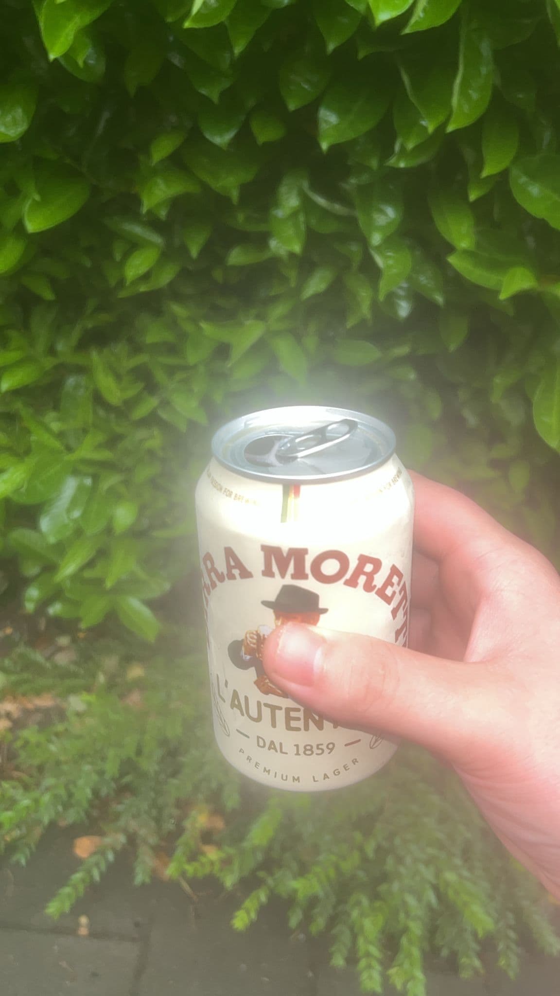 Beer #14554