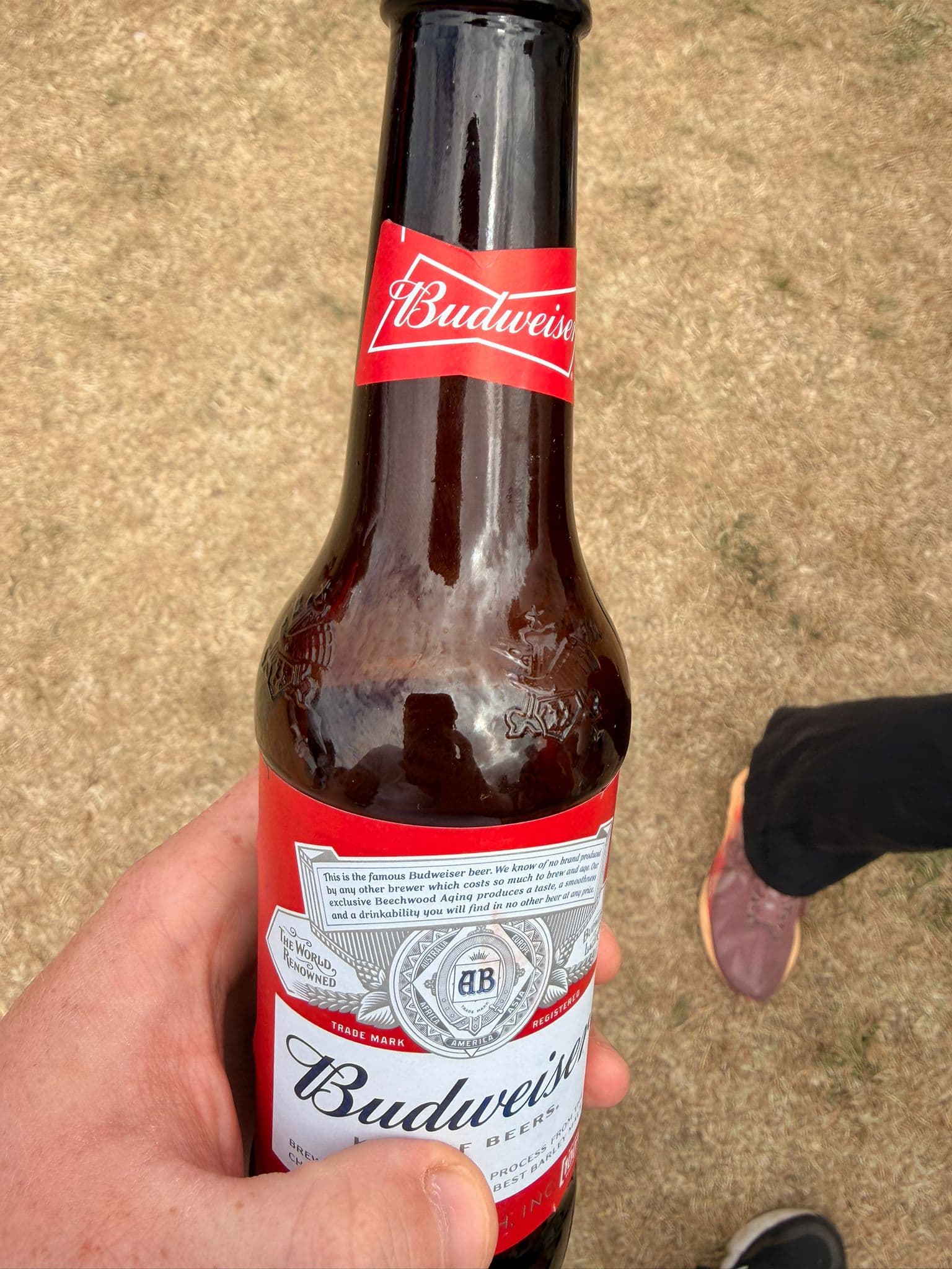 Beer #15439
