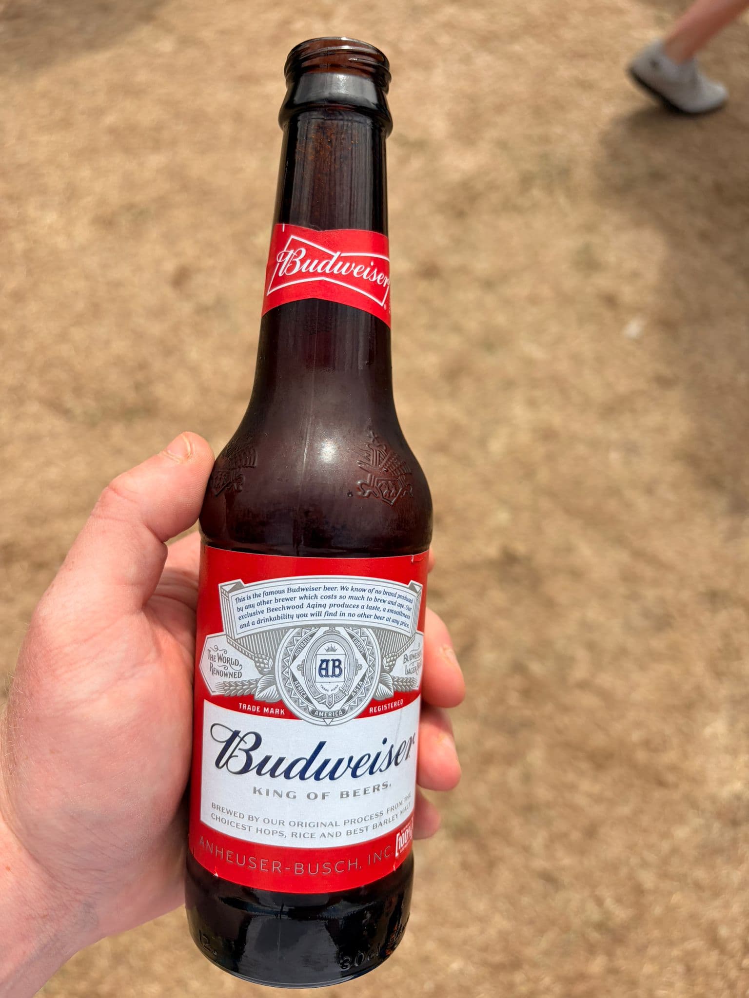Beer #15447