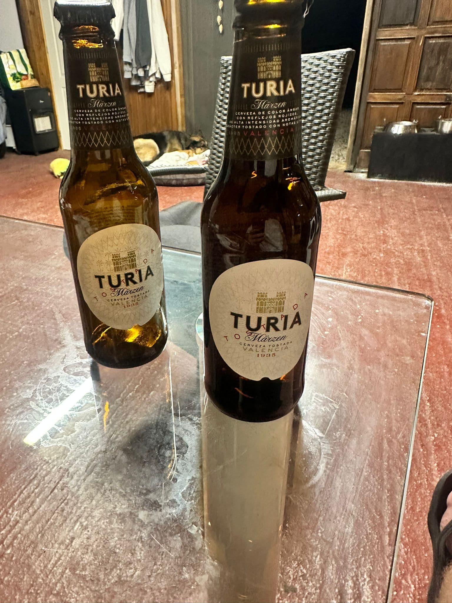 Beer #16876