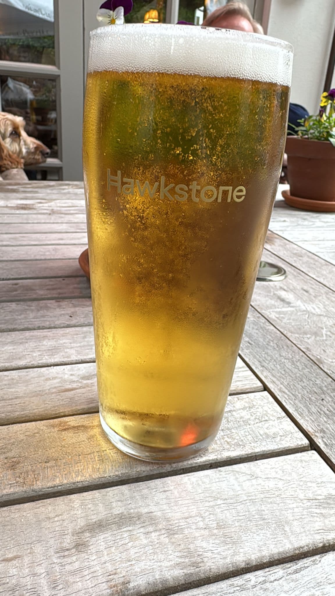 Beer #16929