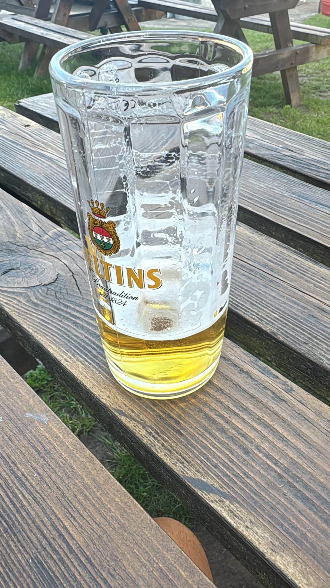 Beer #17509