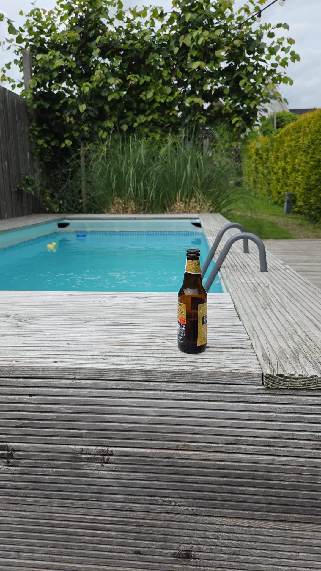 Beer #17953