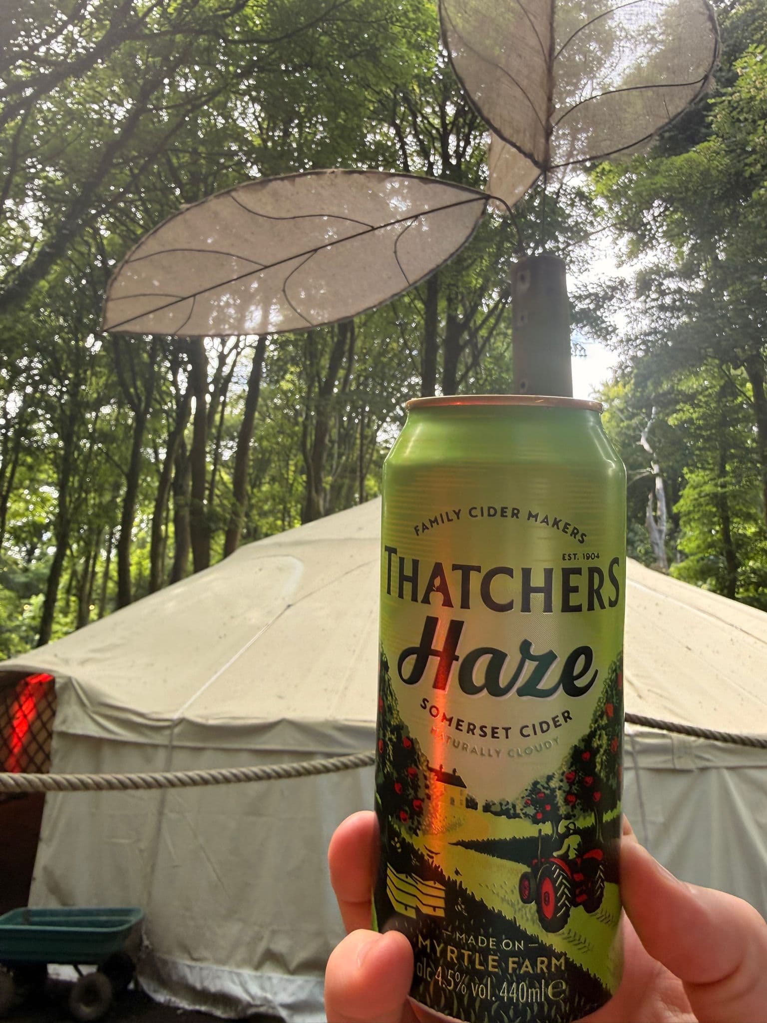 Beer #18449
