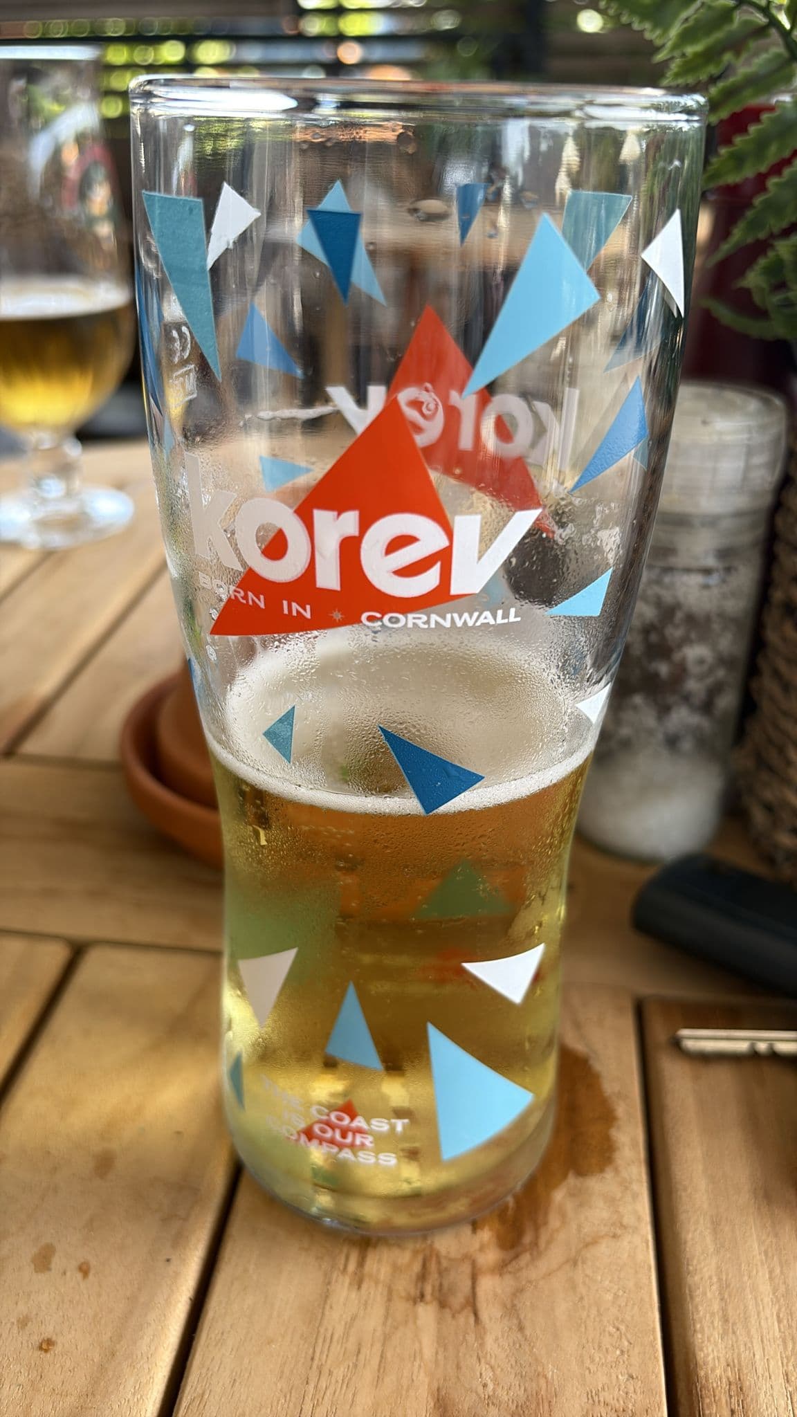 Beer #18451