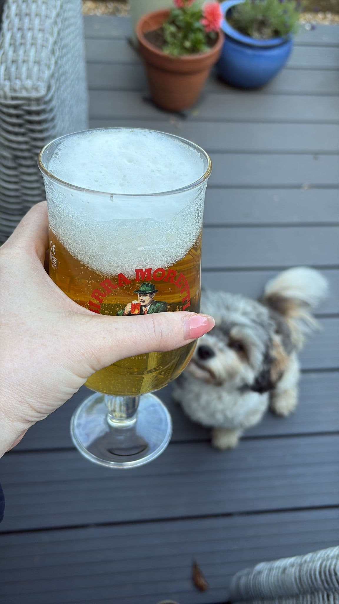 Beer #18521