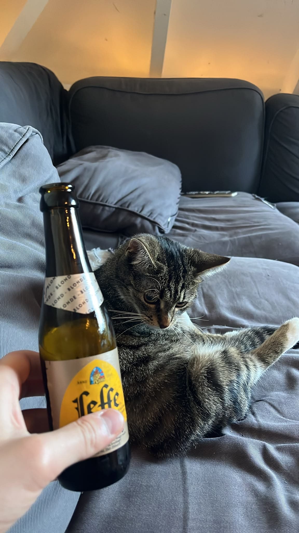 Beer #18616