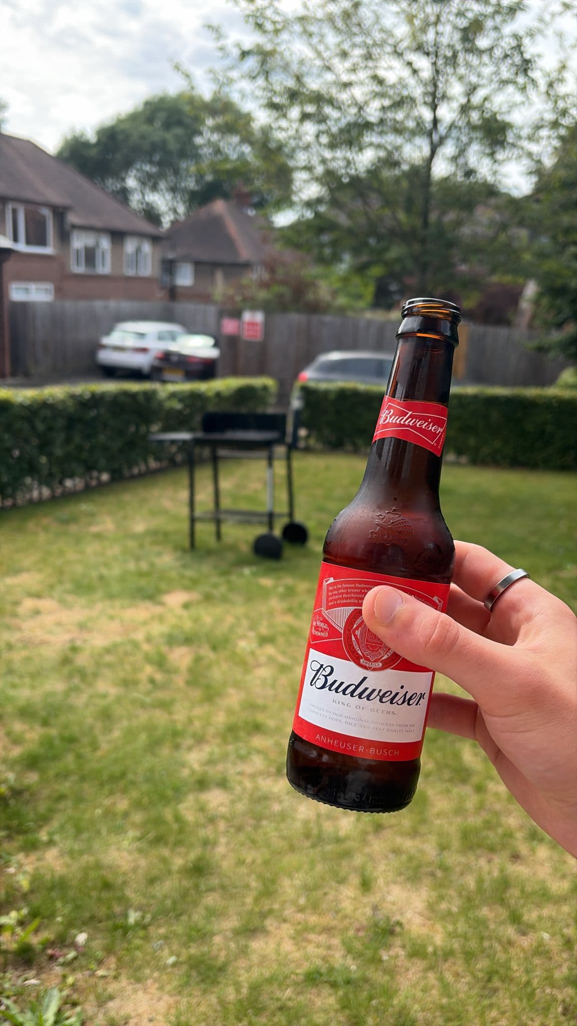 Beer #18906