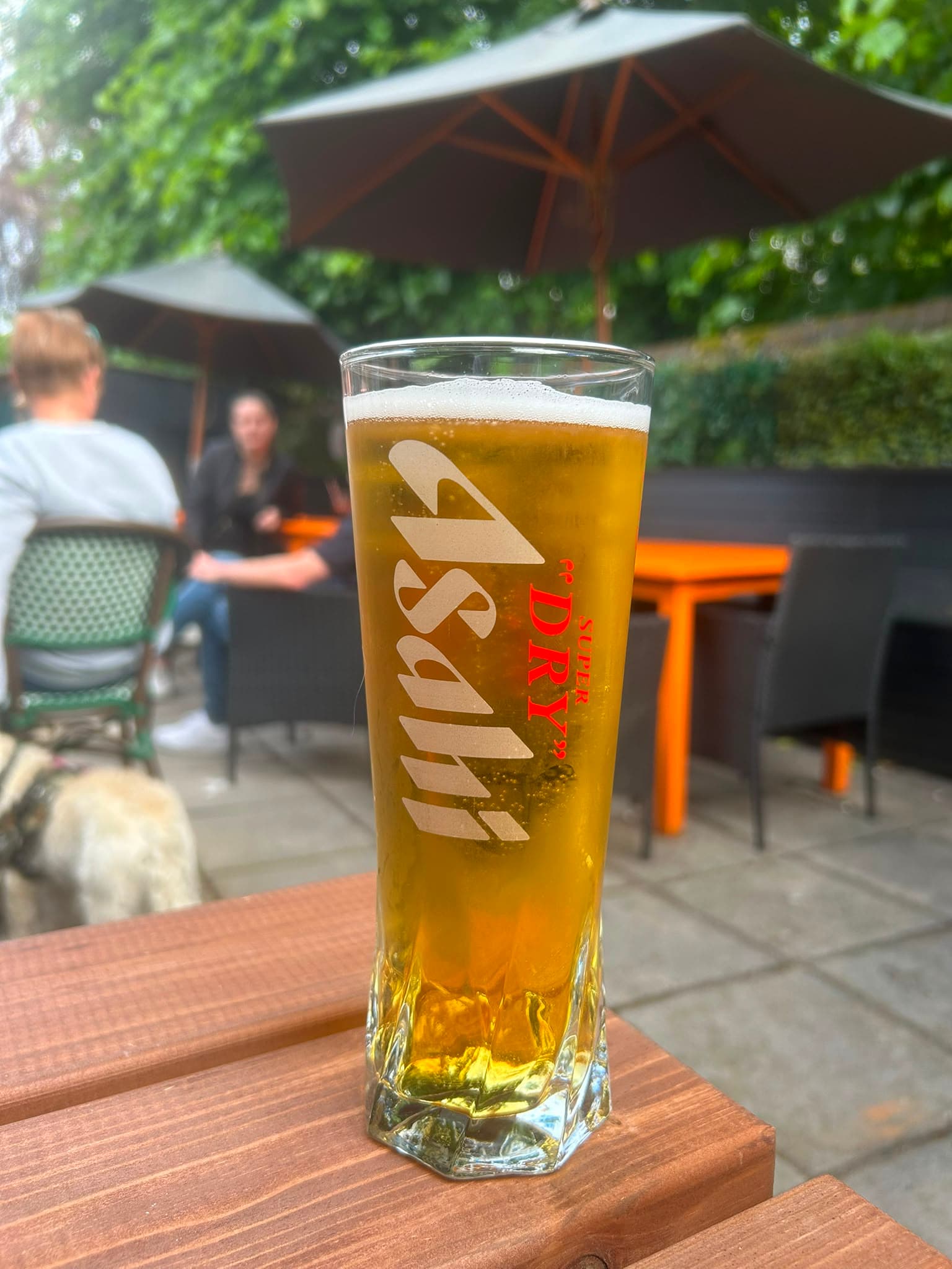 Beer #19011