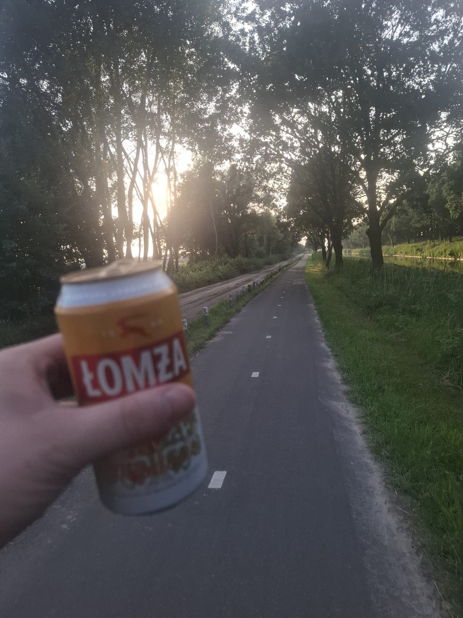 Beer #19376