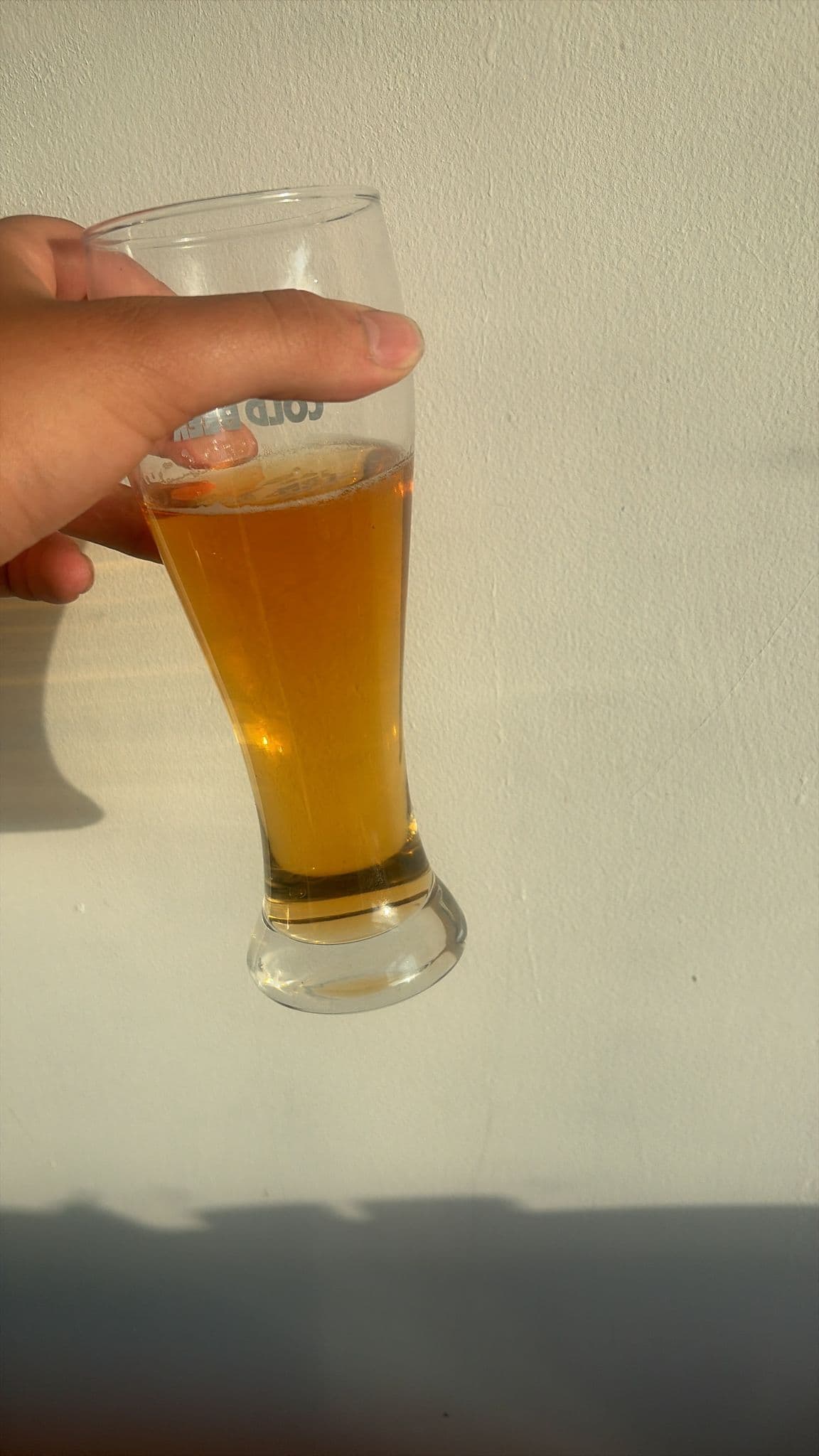 Beer #19511
