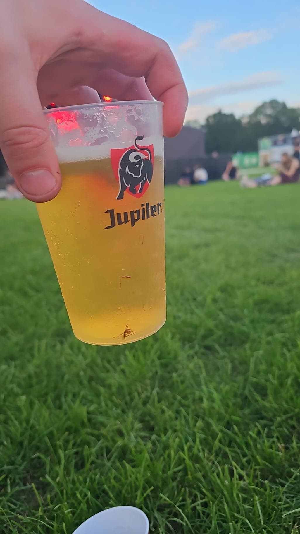 Beer #19519