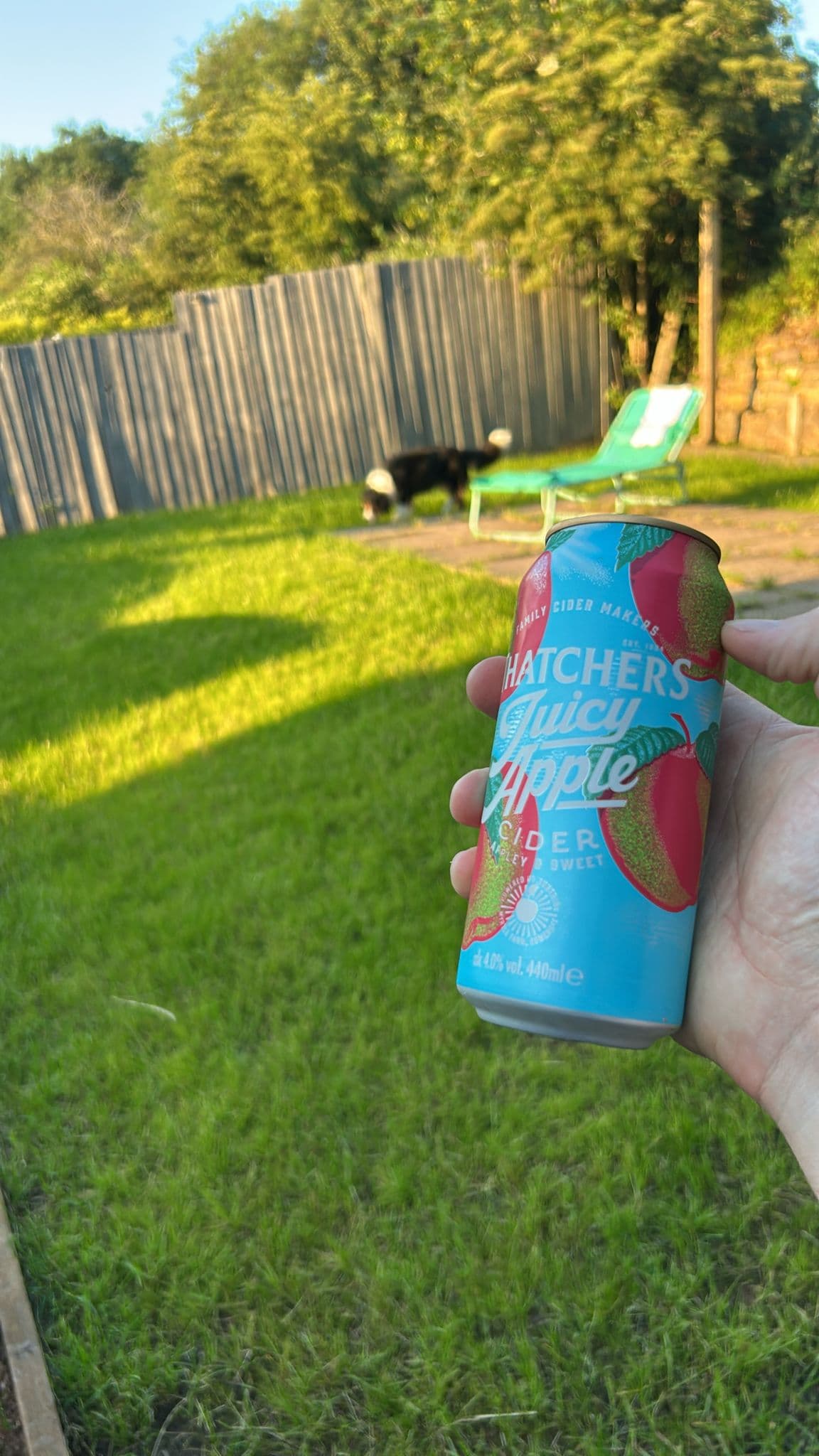 Beer #19793