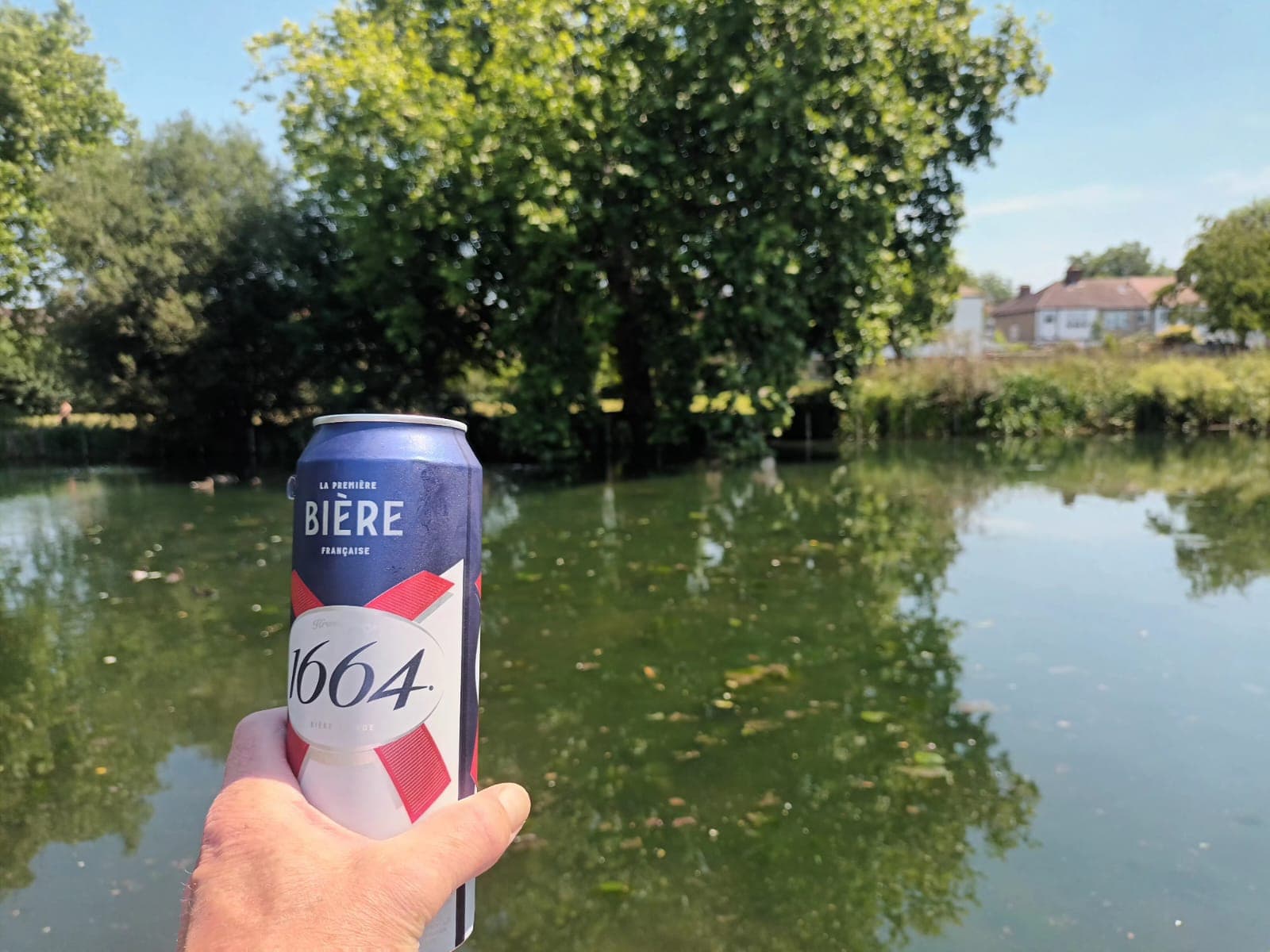 Beer #19869
