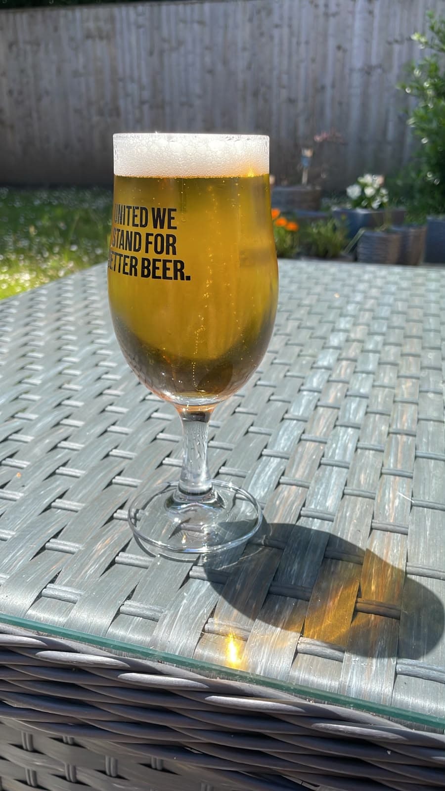 Beer #19879