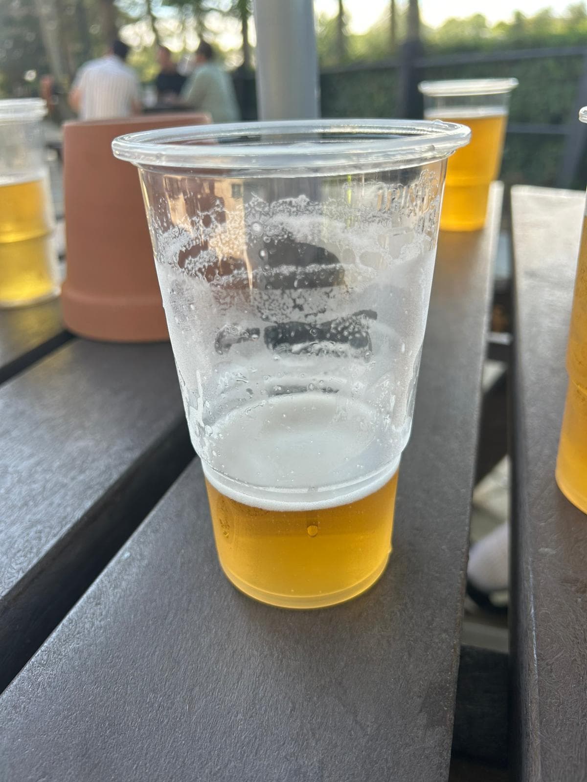 Beer #19904